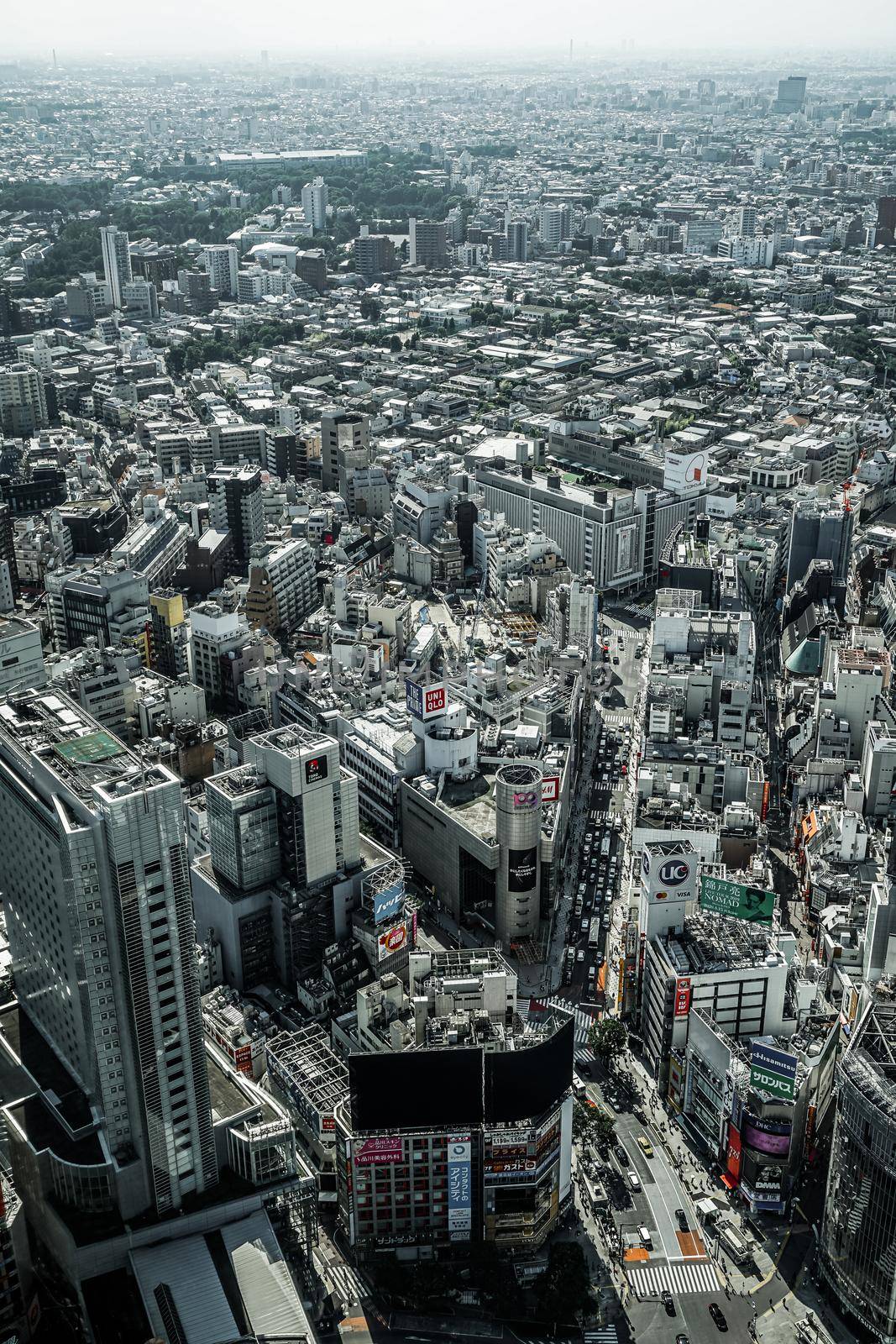 Tokyo cityscape seen from Shibuya Sky. Shooting Location: Tokyo metropolitan area