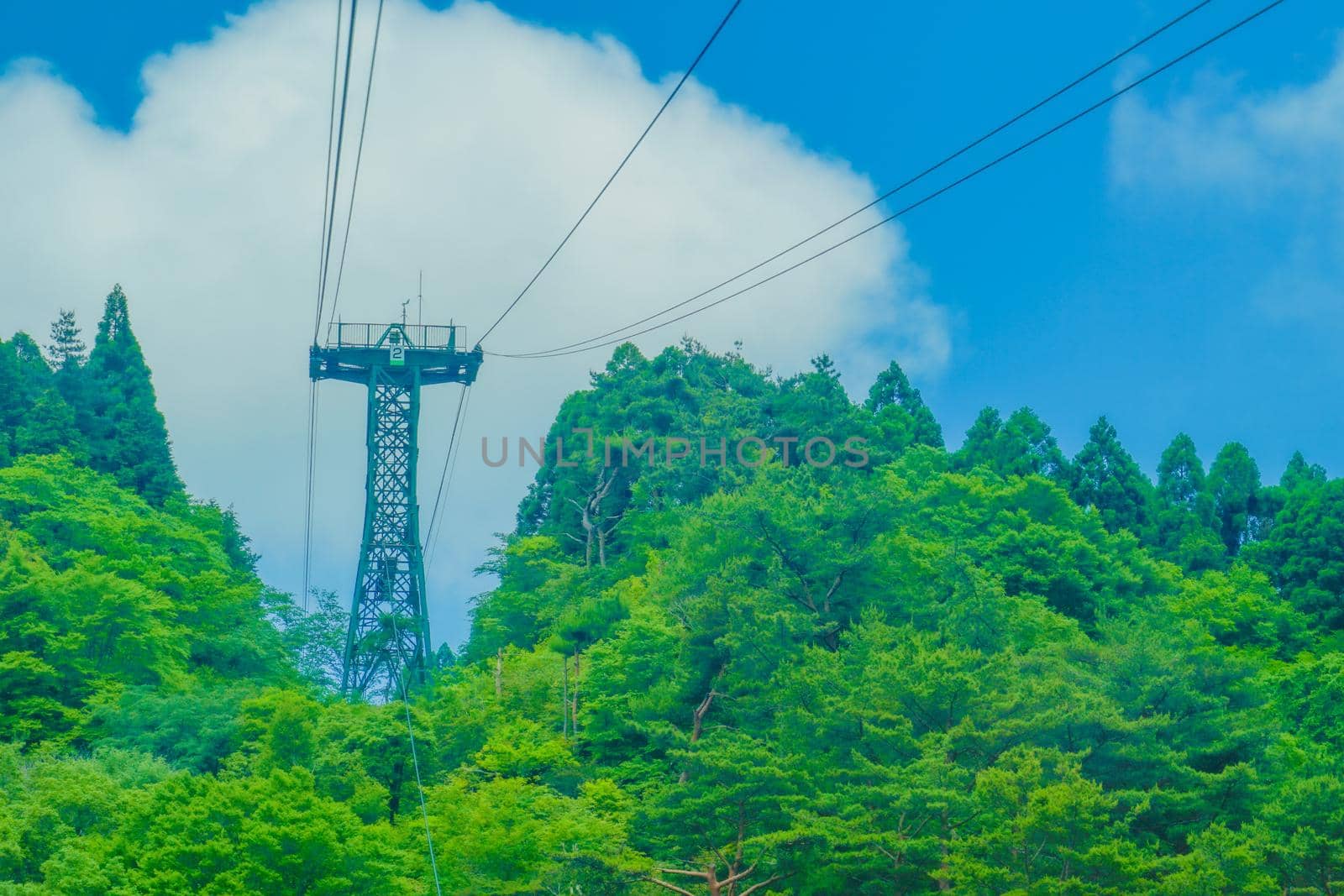 Scenery from Rokko Horse Ropeway. Shooting Location: Kobe city, Hyogo Pref