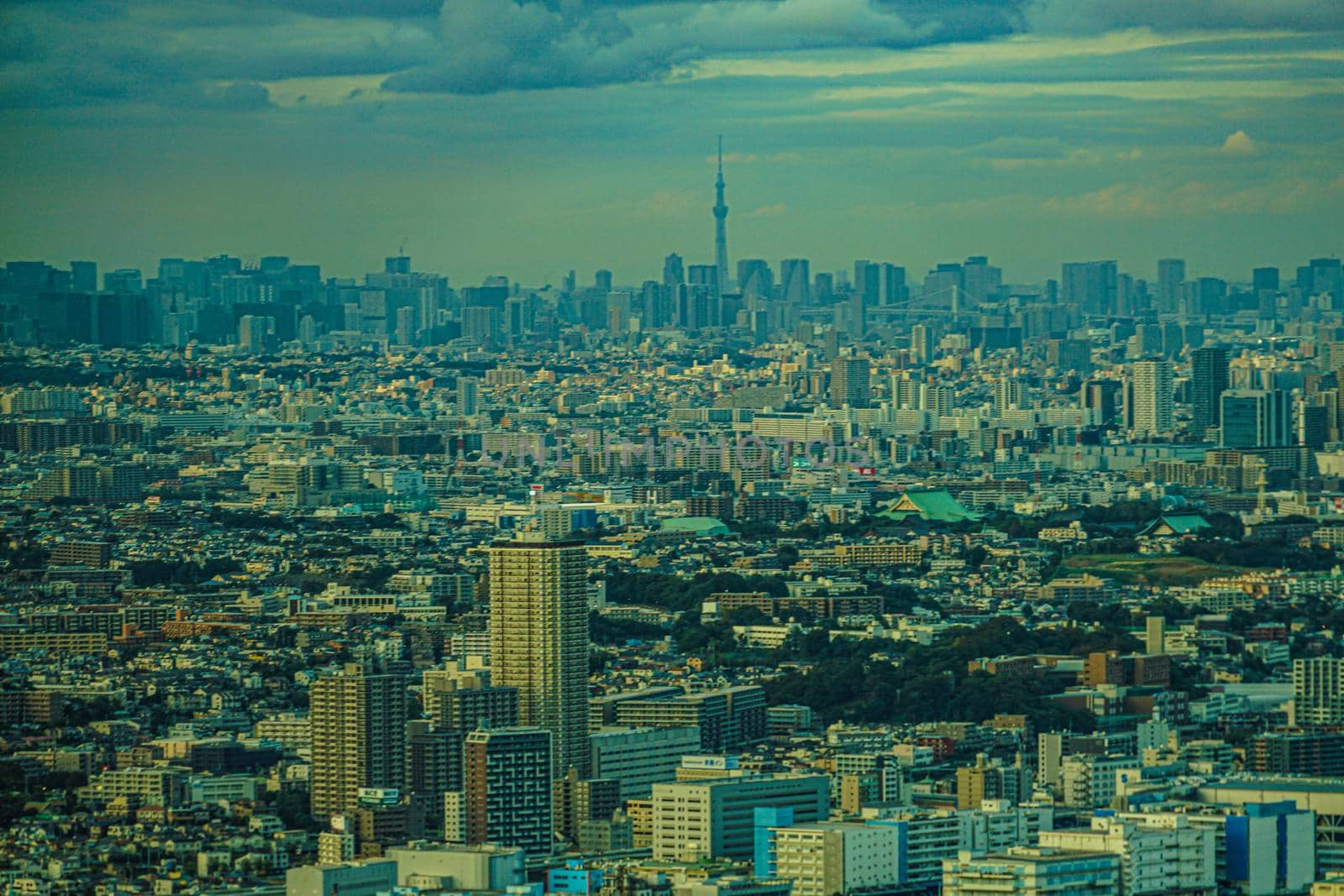 Yokohama Landmark Tower Observatory View from Yokohama Cityscape and Sunset View. Shooting Location: Yokohama-city kanagawa prefecture