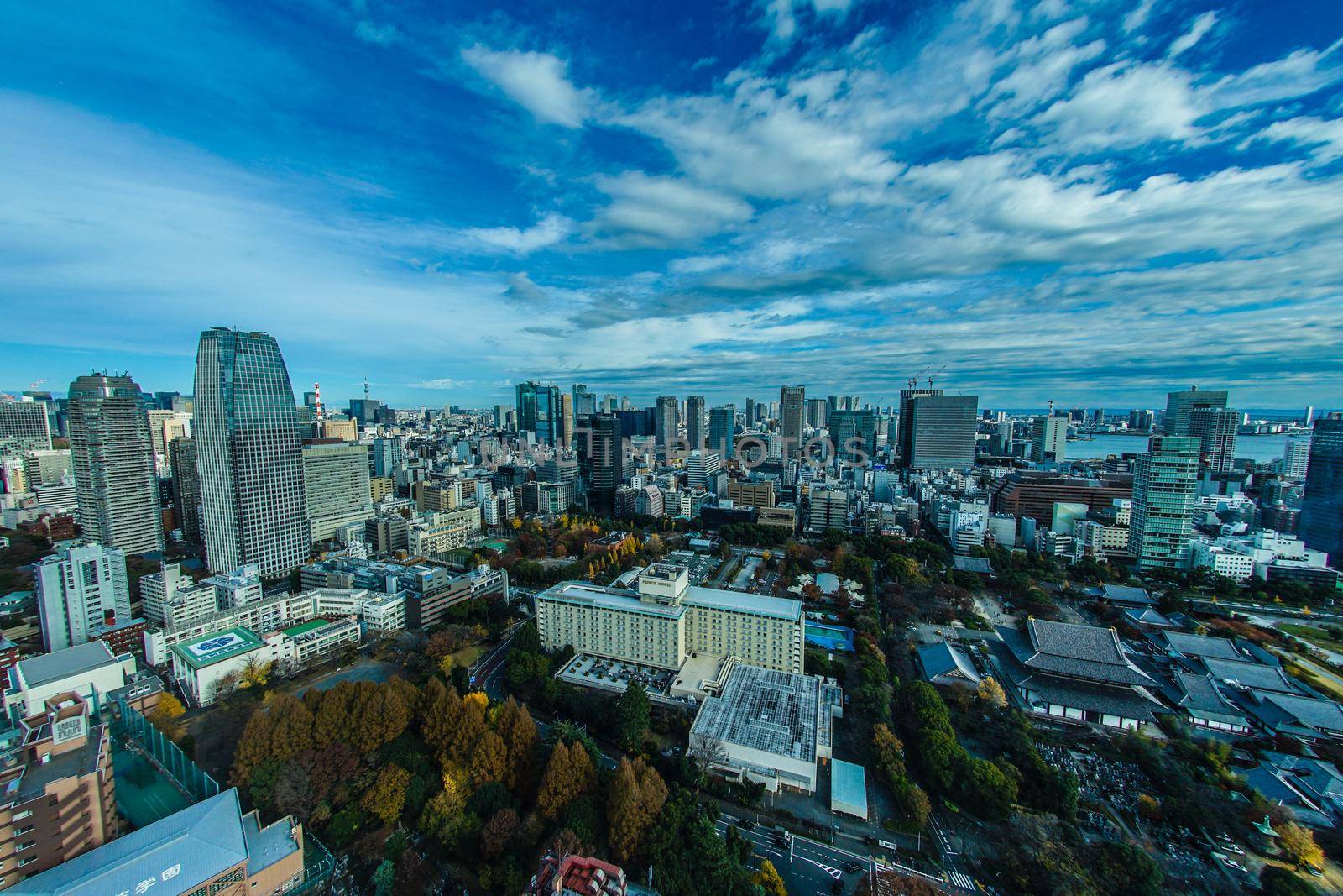 Tokyo Tower View from the city of Tokyo. Shooting Location: Tokyo metropolitan area