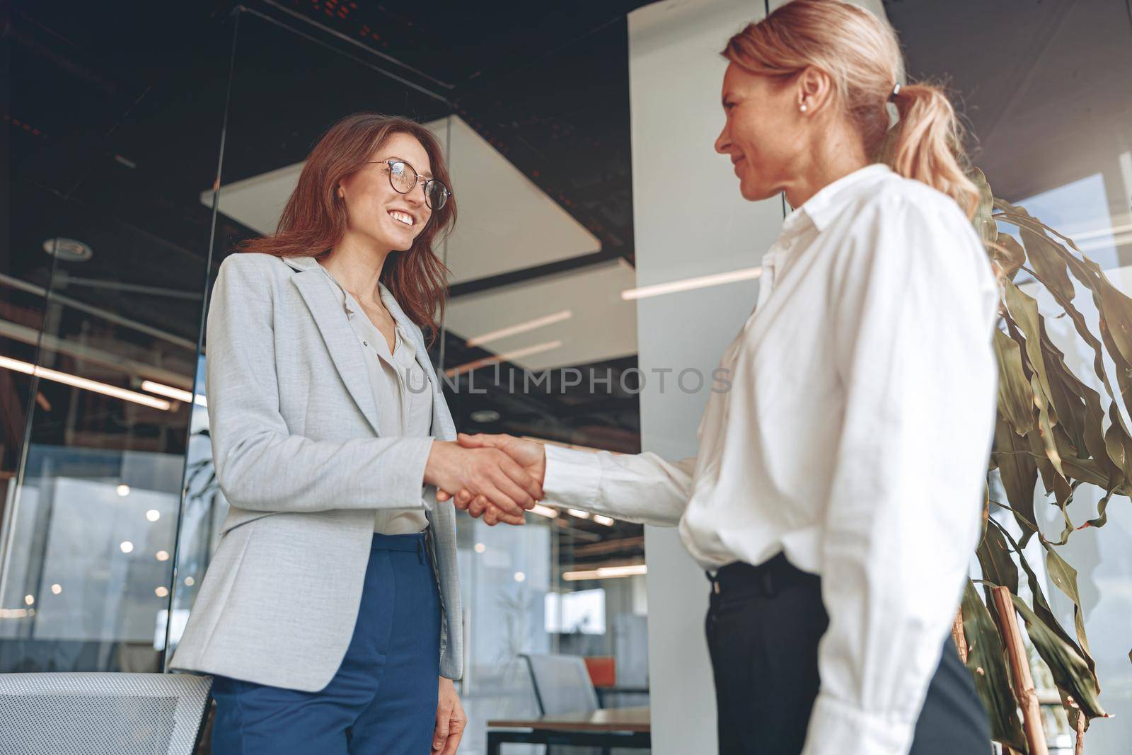 two confident businesswoman are handshaking before meeting in modern office. High quality photo