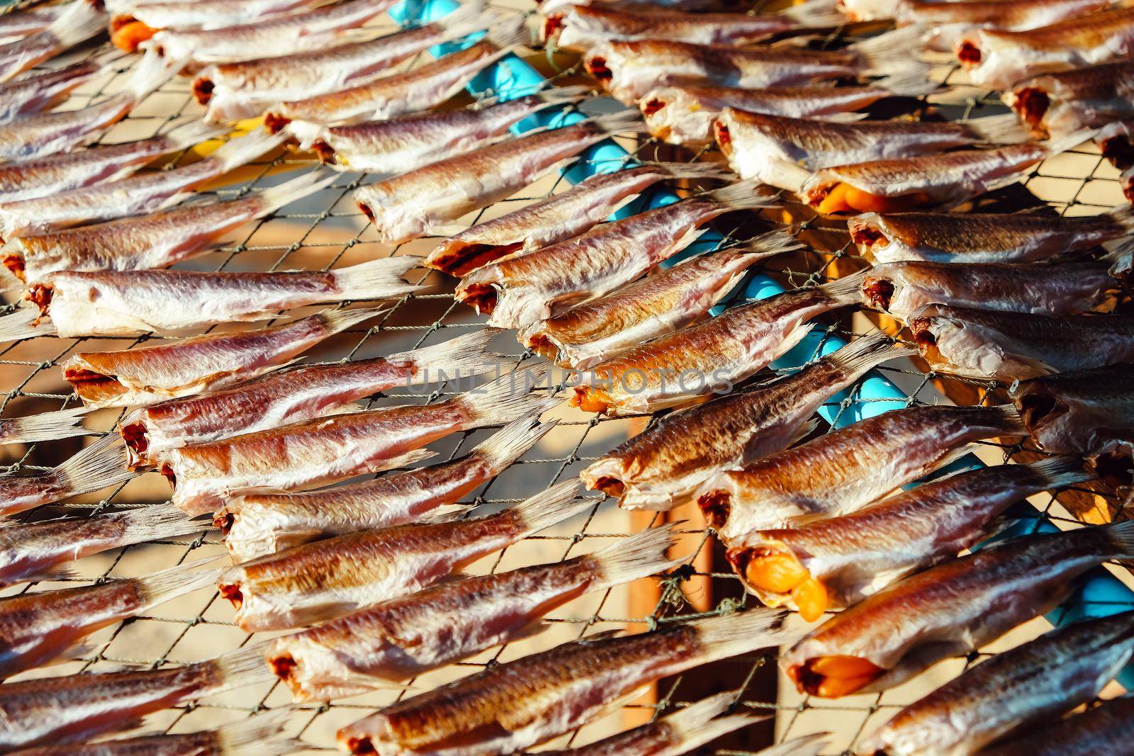 Homemade dried fish by ponsulak