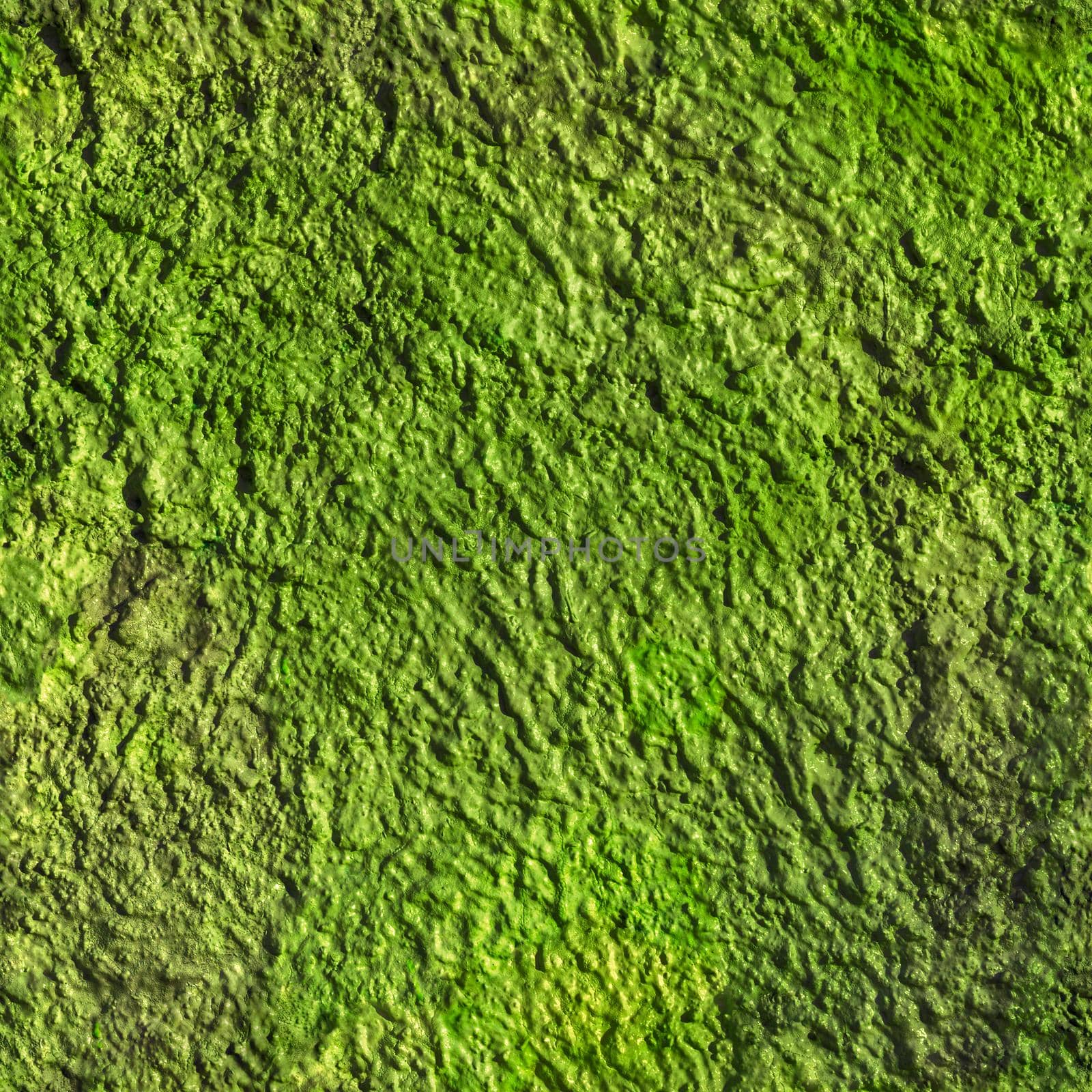 Gloiss painted plaster wall seamless square texture. Direct sunlight with hard shadows.