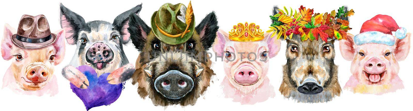 Cute border from watercolor portraits of pigs. Watercolor illustration of pigs in wreath of autumn leaves, hats, Santa hats, golden crown, with violet heart