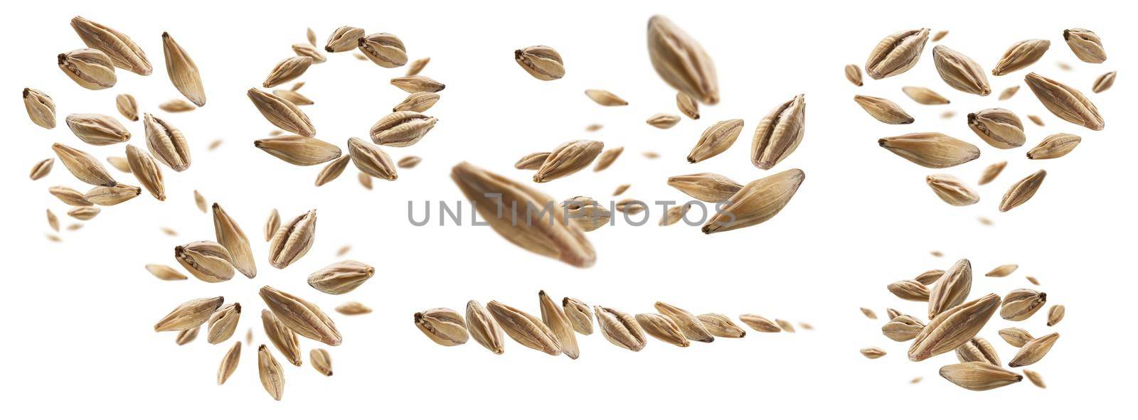 A set of photos. Barley malt grains levitate on a white background.