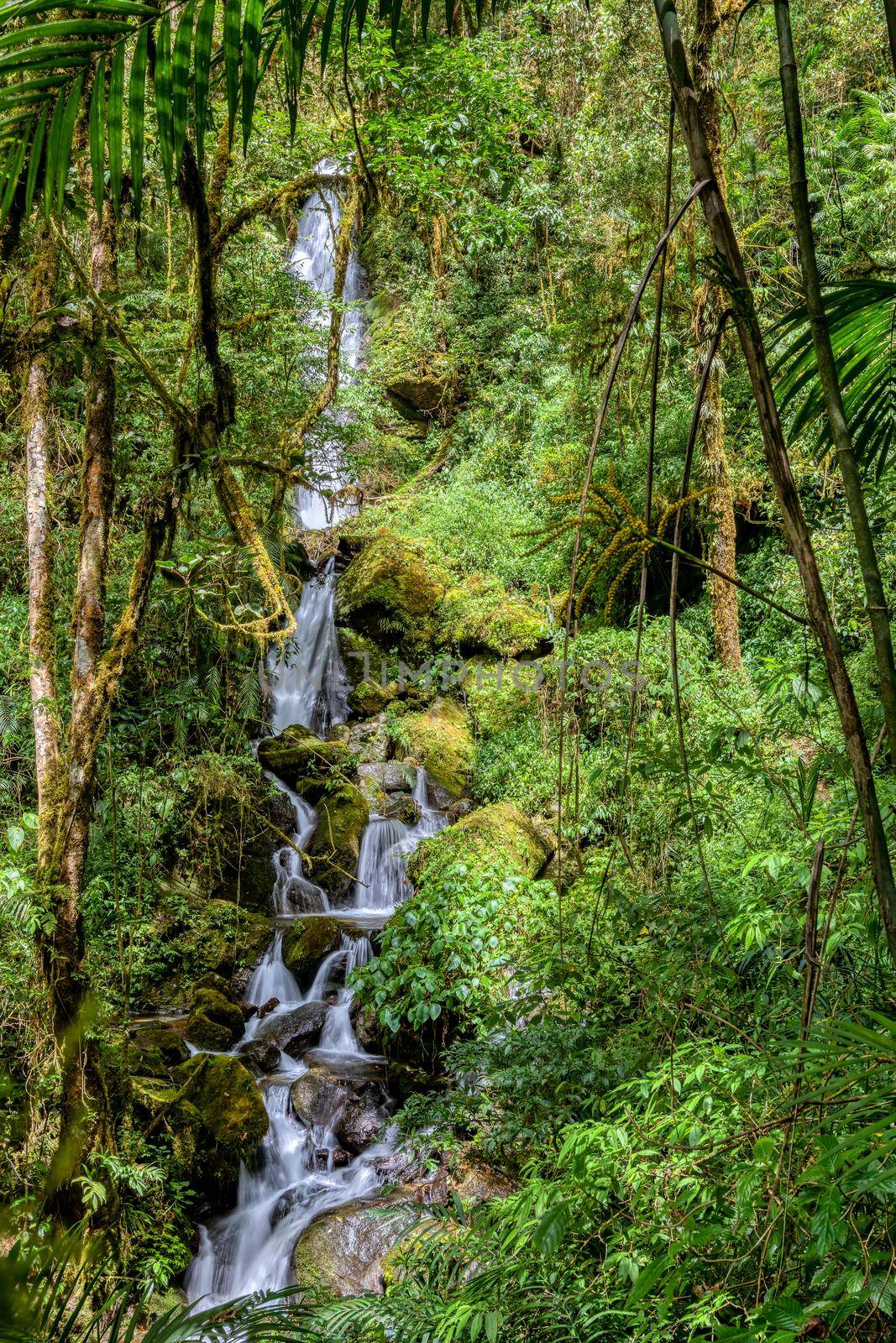 Long exposure of small wild mountain waterfall. Stunning landscape of wilderness and pure nature. San Gerardo de Dota, Costa Rica.