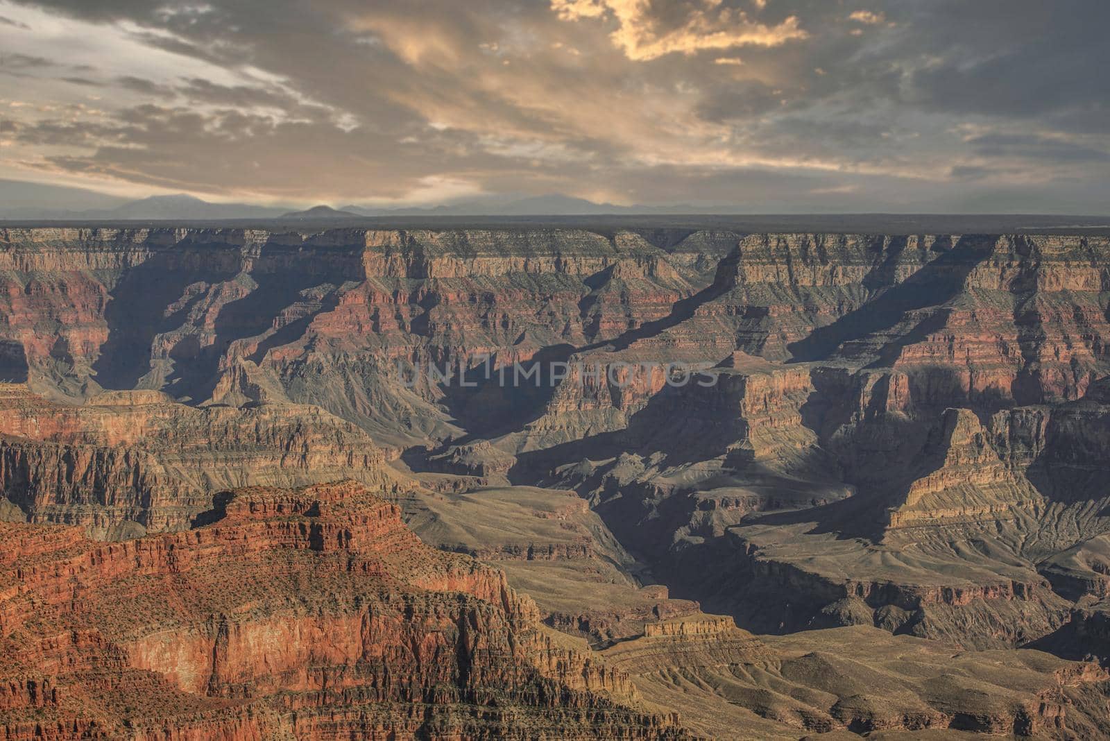 Grand Canyon in evening colored light