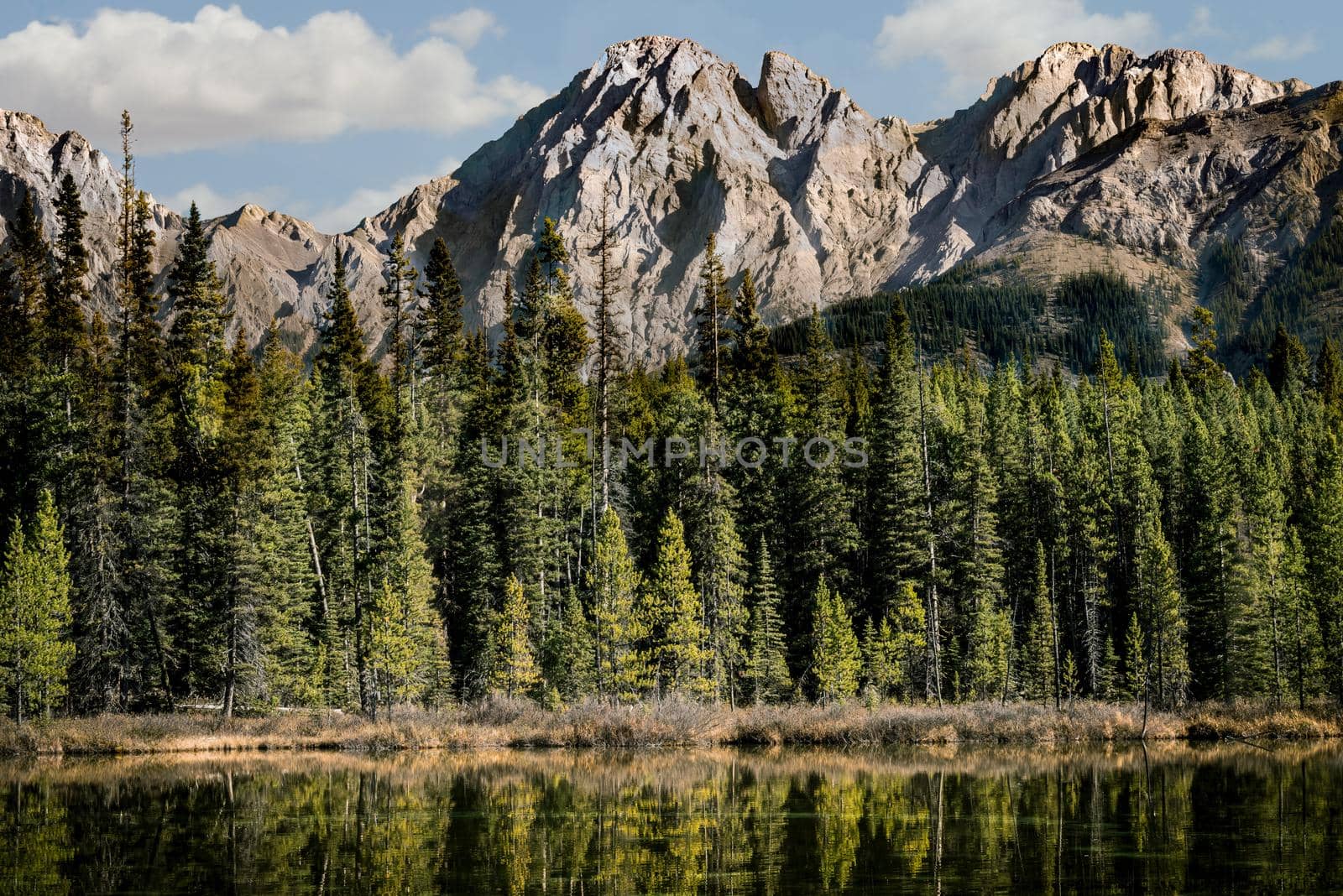 Calgary scenic mountain byway reflection