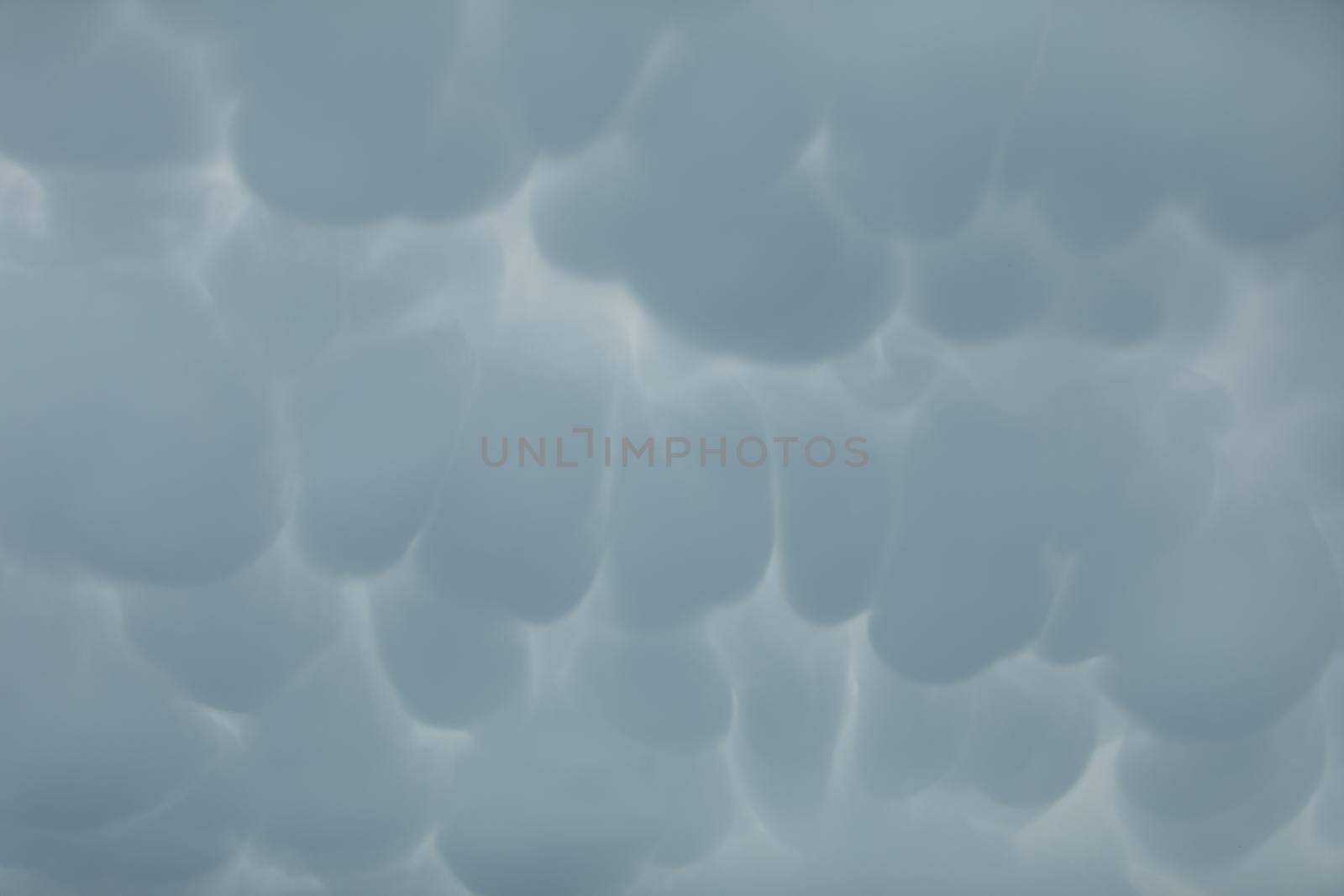 During unusually strong winds, clouds accumulate and gather into irregular bubbles. Close up frame of a slice of the sky.