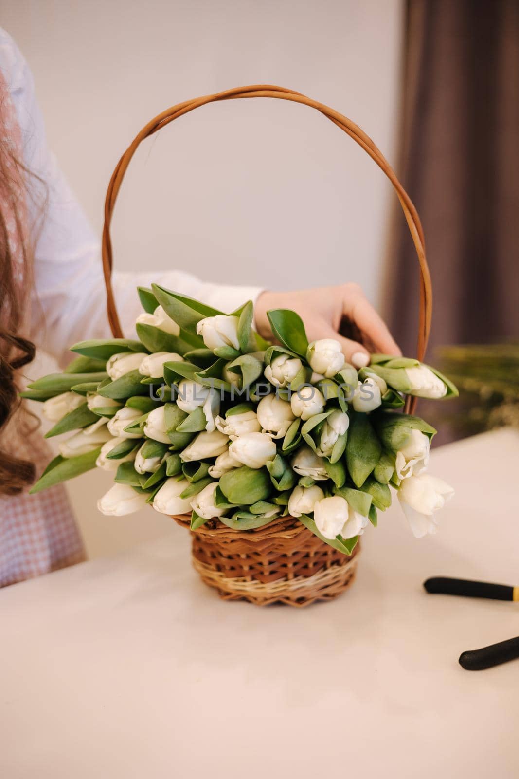 Woman make spring bouquet. Female floris put bouquet of white tulips. Beautiful flower composition. Fresh tulips.