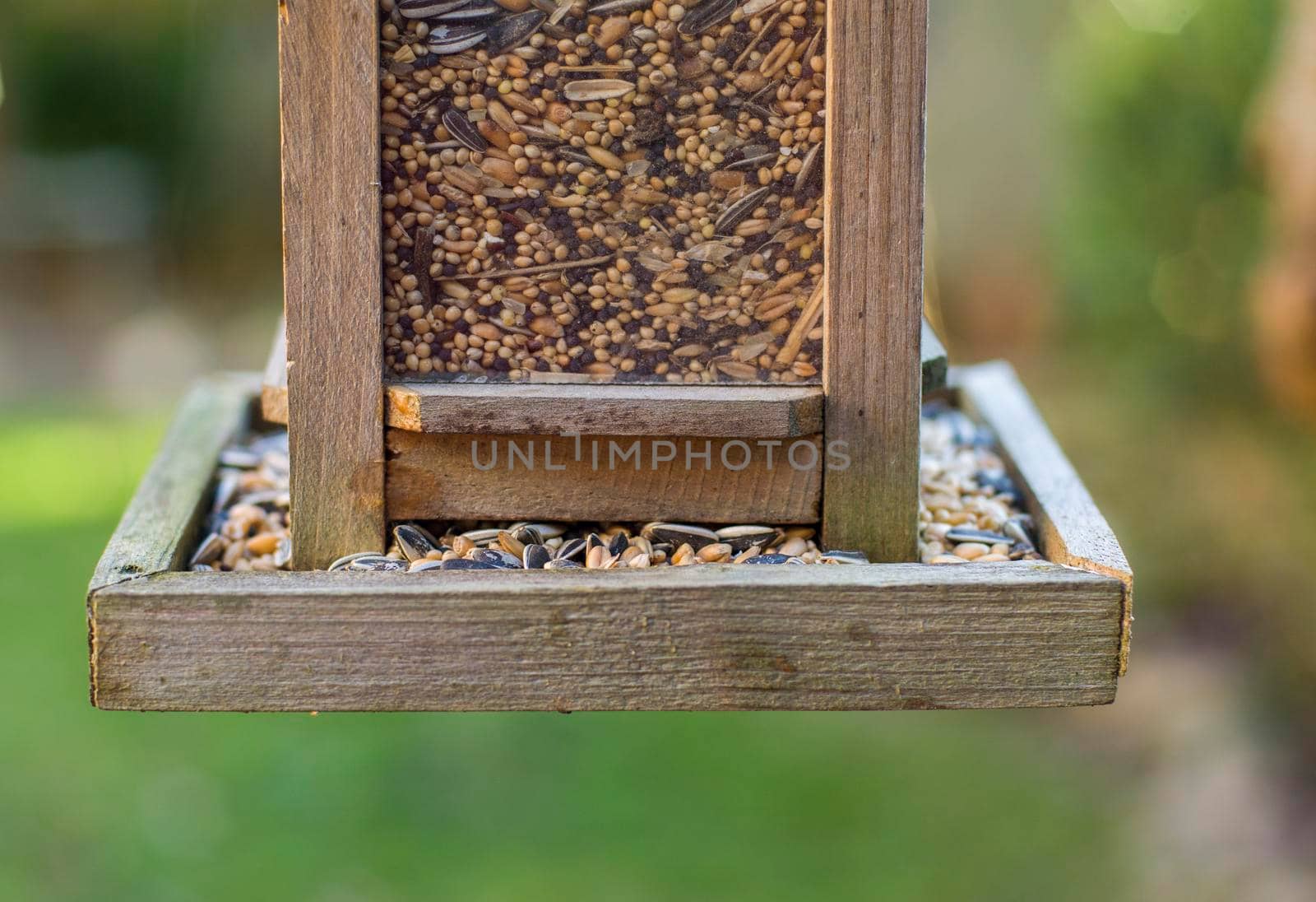 Bird house with bird feed Grains and cereal