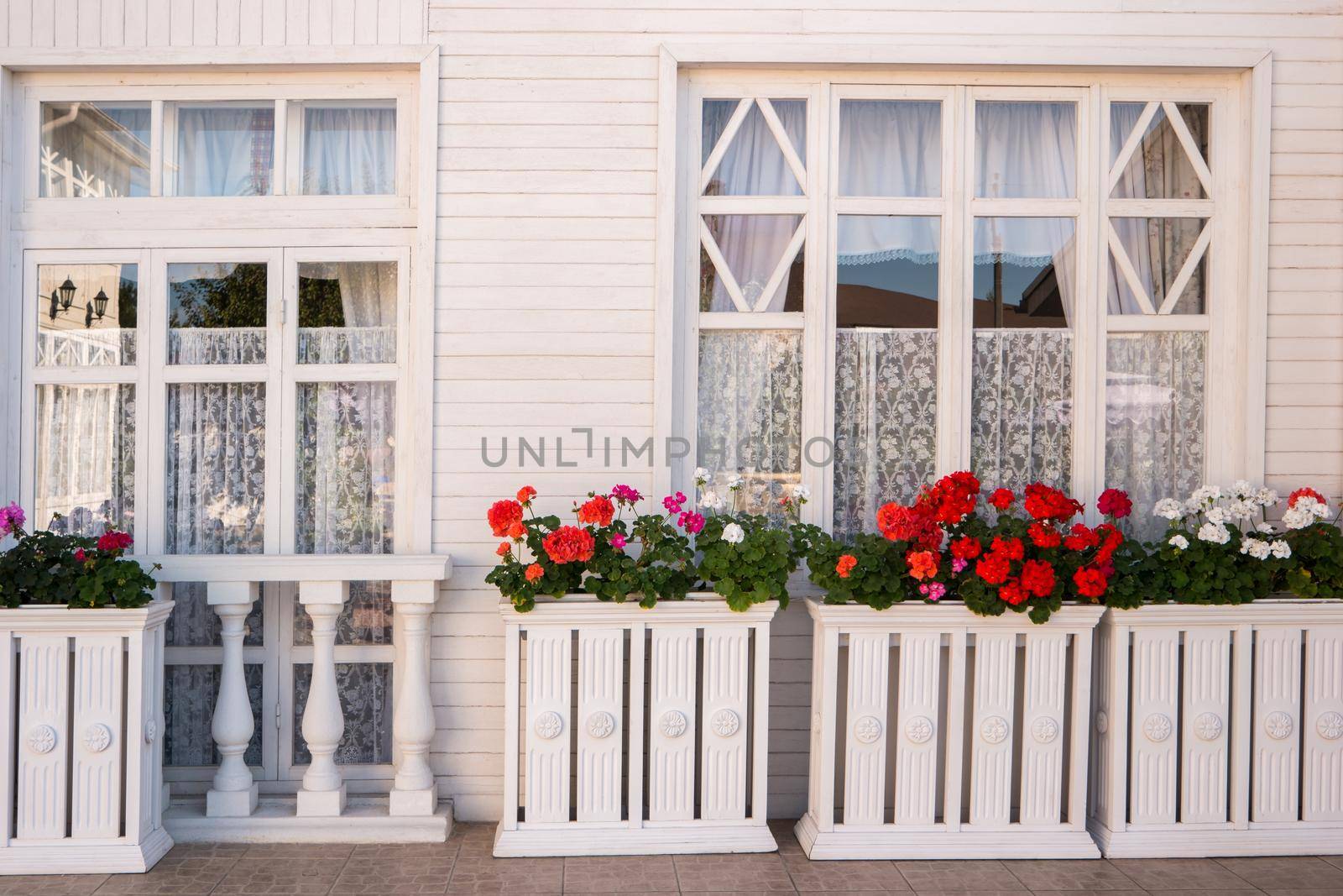 Flowers outside the house. Windows of a house. Red and white petunias. Feel the aroma of freshness.