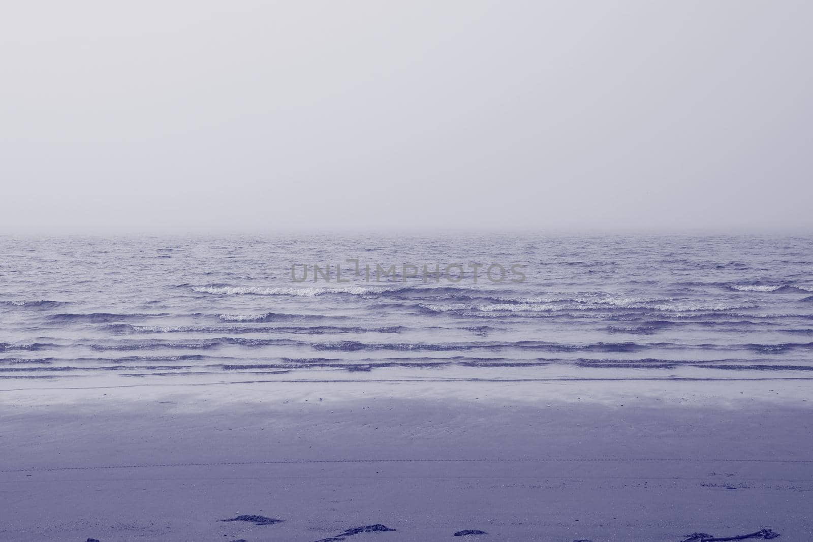 Very peri toned sea beach. North sea. Stormy weather: strong waves, gloomy sky, sea foam. Very peri monochrome color sea. A place for your writing. Copy space. Trendy colour 2022. High quality photo