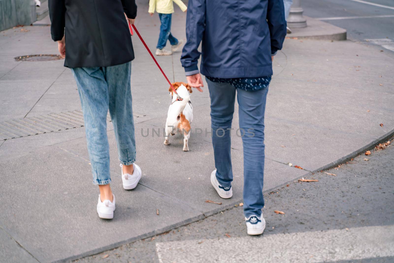 A girl and a boy are walking with a Jack Russell Terrier, walking down the street by Matiunina