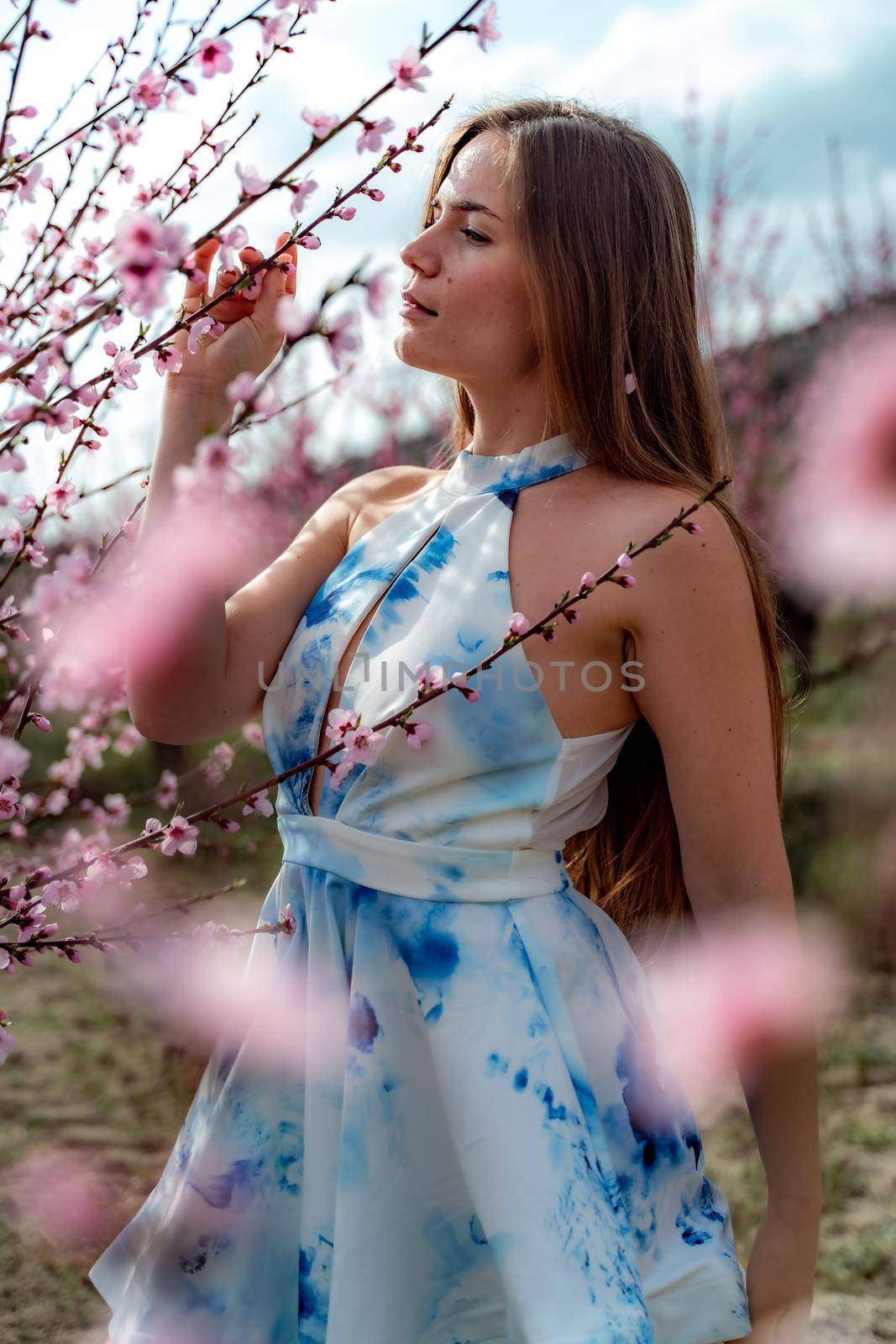Young beautiful woman in blue dress and long hair is enjoying with blossoming peach trees.