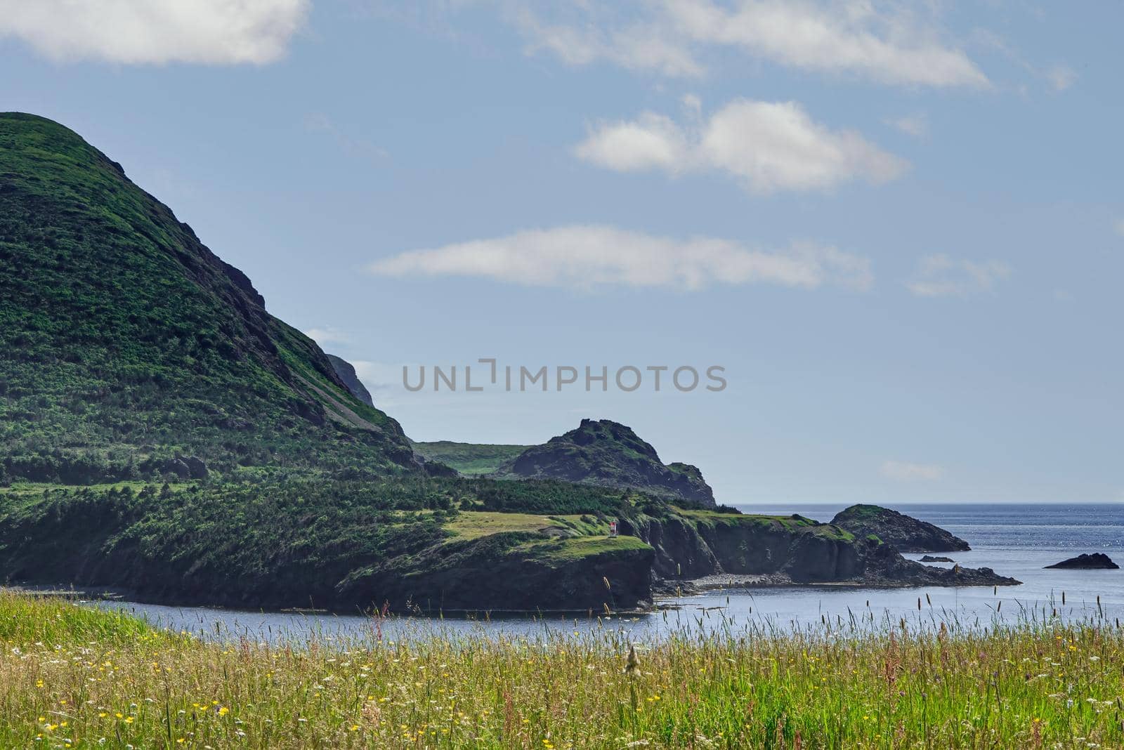 Newfoundland Trout River Bay ocean view