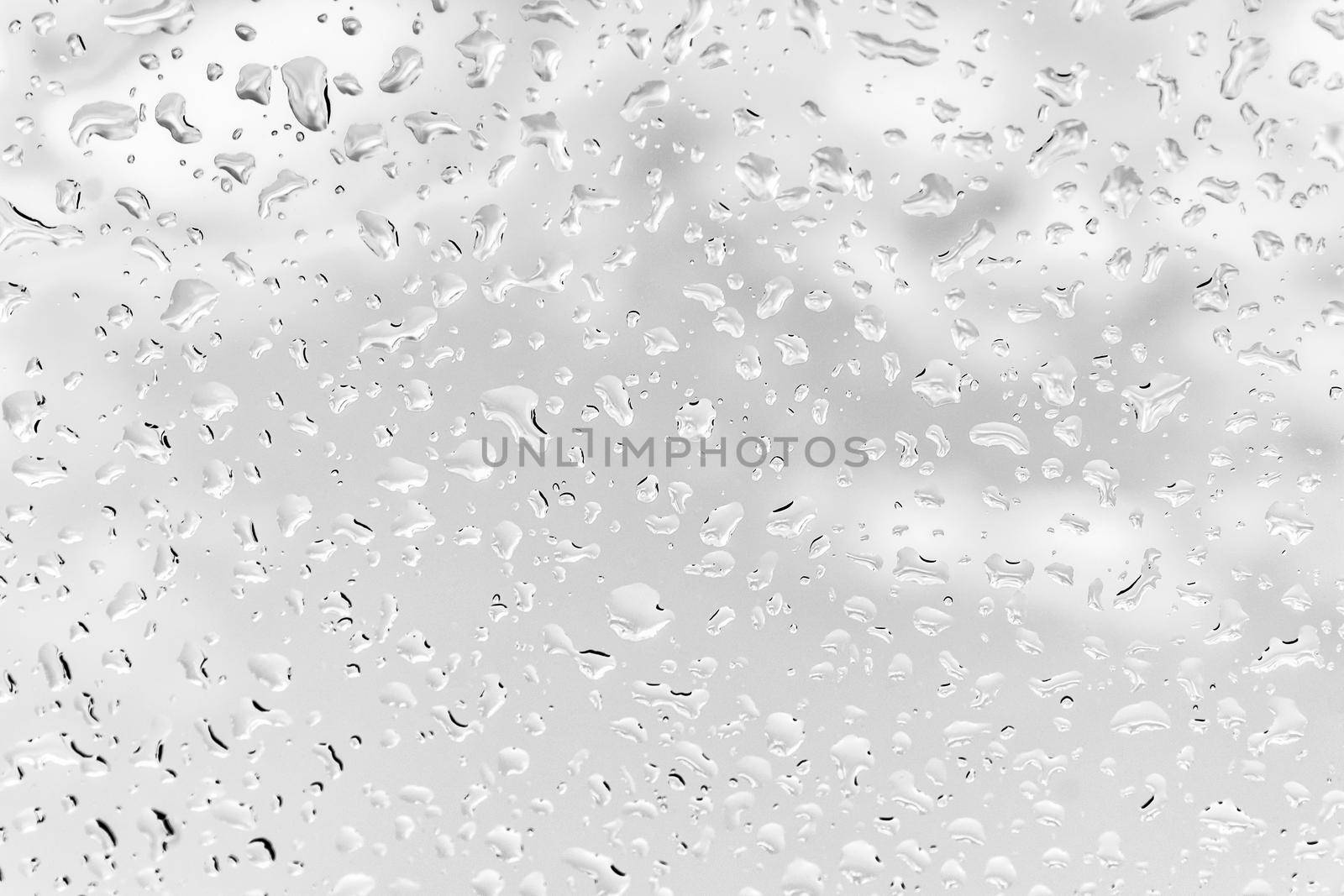 Raindrops Down Windshield