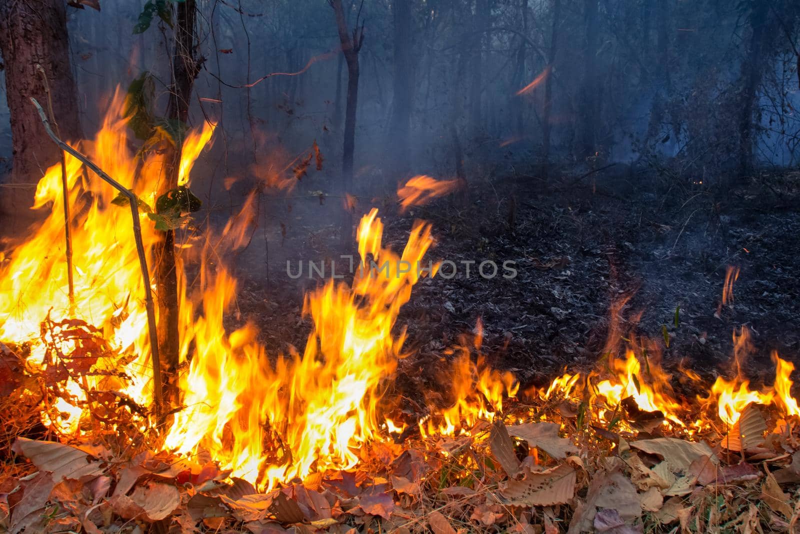 wildfire on mountain in thailand by toa55
