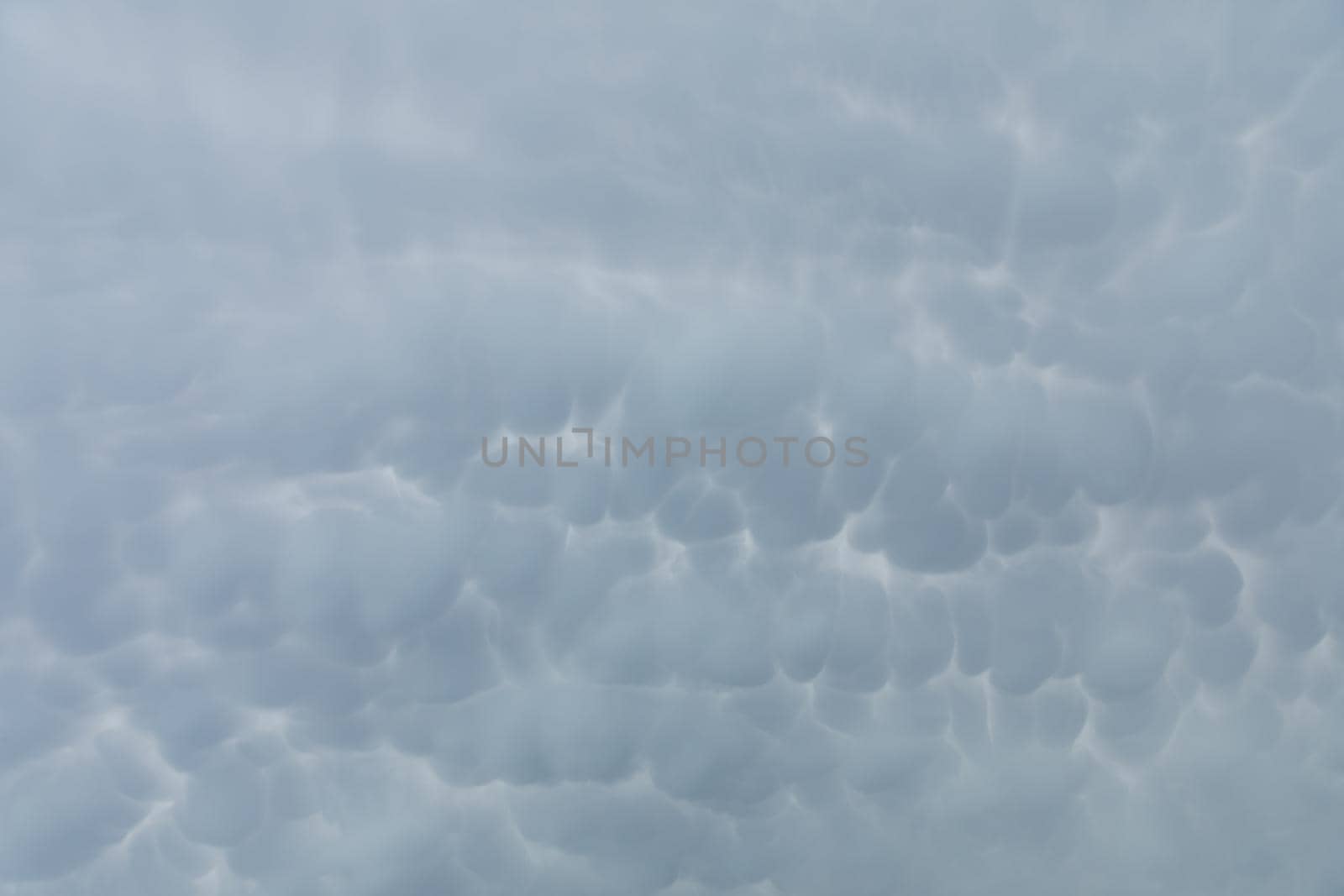 A wide frame as storm clouds gather in the sky, clustered in many irregular bubbles squeezed one next to another.