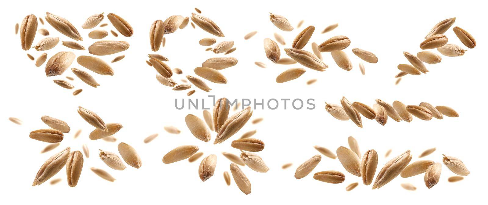 A set of photos. Oat grains levitate on a white background.