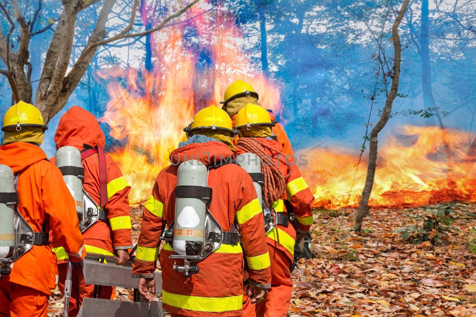 firefighters preparing equipment in forest by toa55