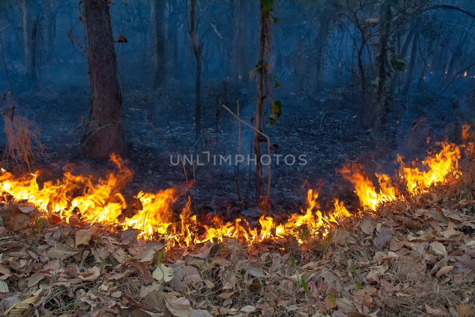 wildfire on mountain in thailand by toa55