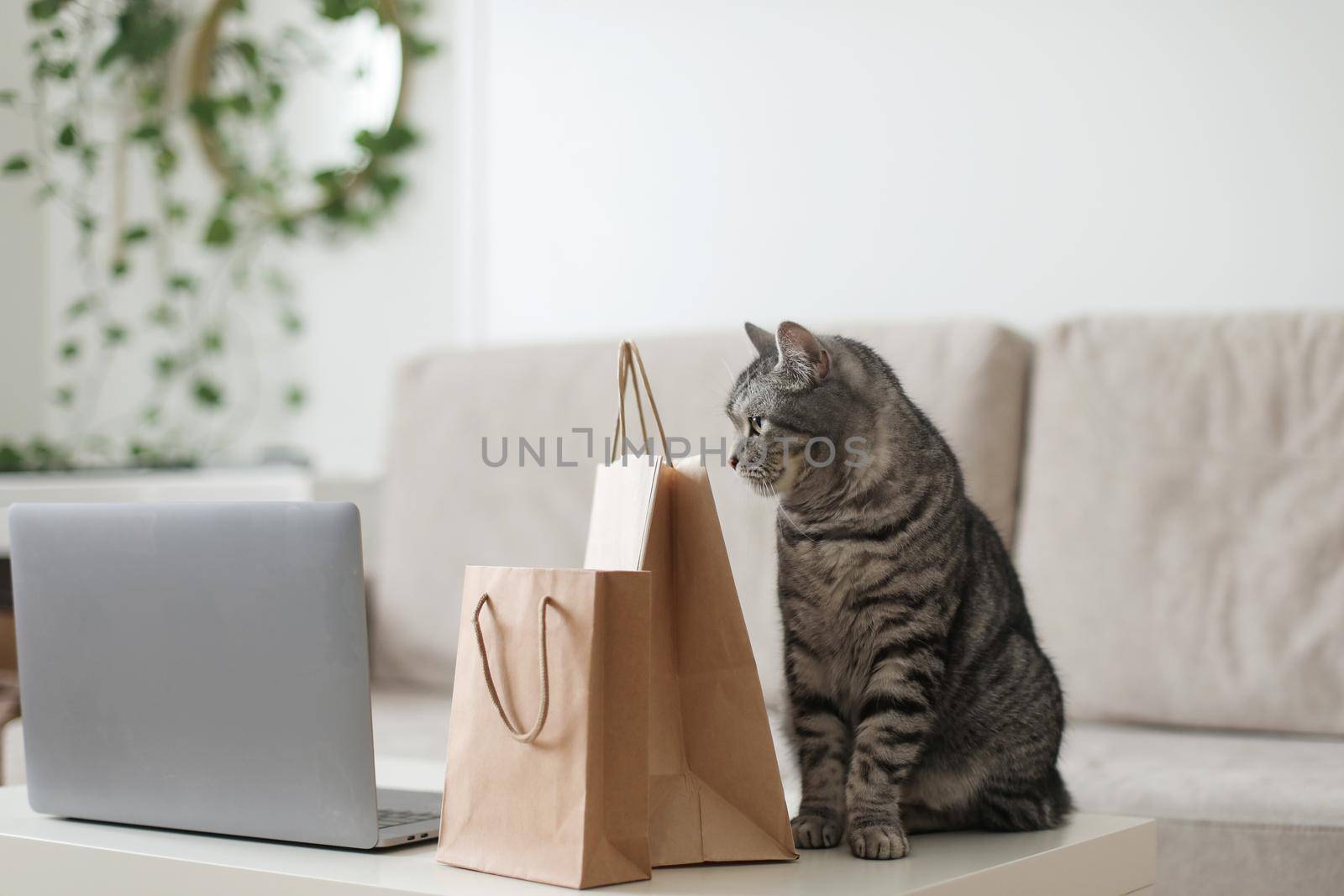 A gray tabby cat looking at brown paper bags at home. craft shopping package. Delivery, Shopping concept, environmental protection, zero waste.