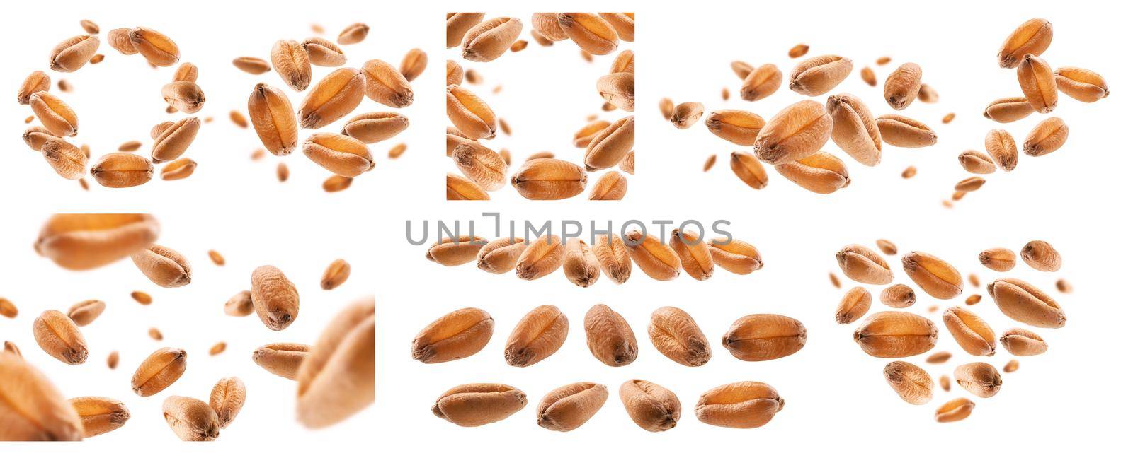 A set of photos. Wheat grains levitate on a white background.