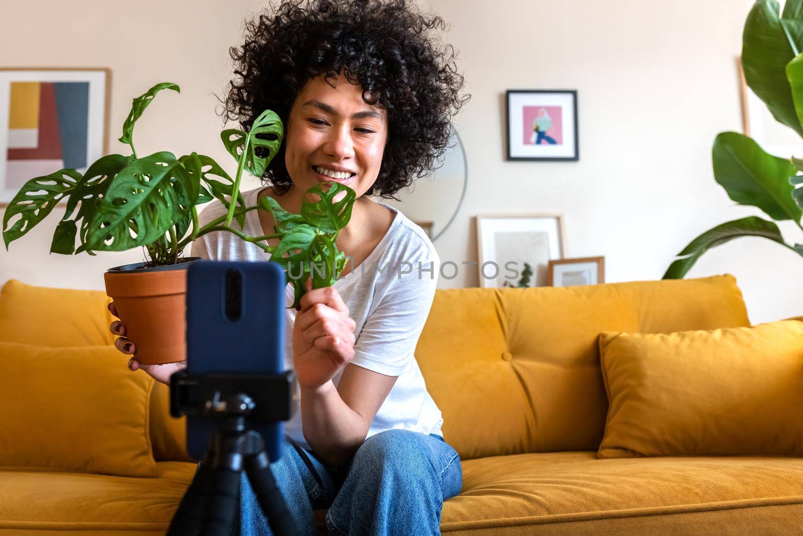 African American influencer recording vlog at home. Hispanic woman live streaming shows followers a plant. Copy space. by Hoverstock