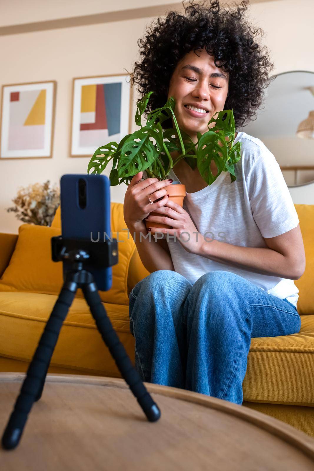 African American influencer recording vlog at home. Hispanic woman live streaming shows followers a plant. Vertical by Hoverstock
