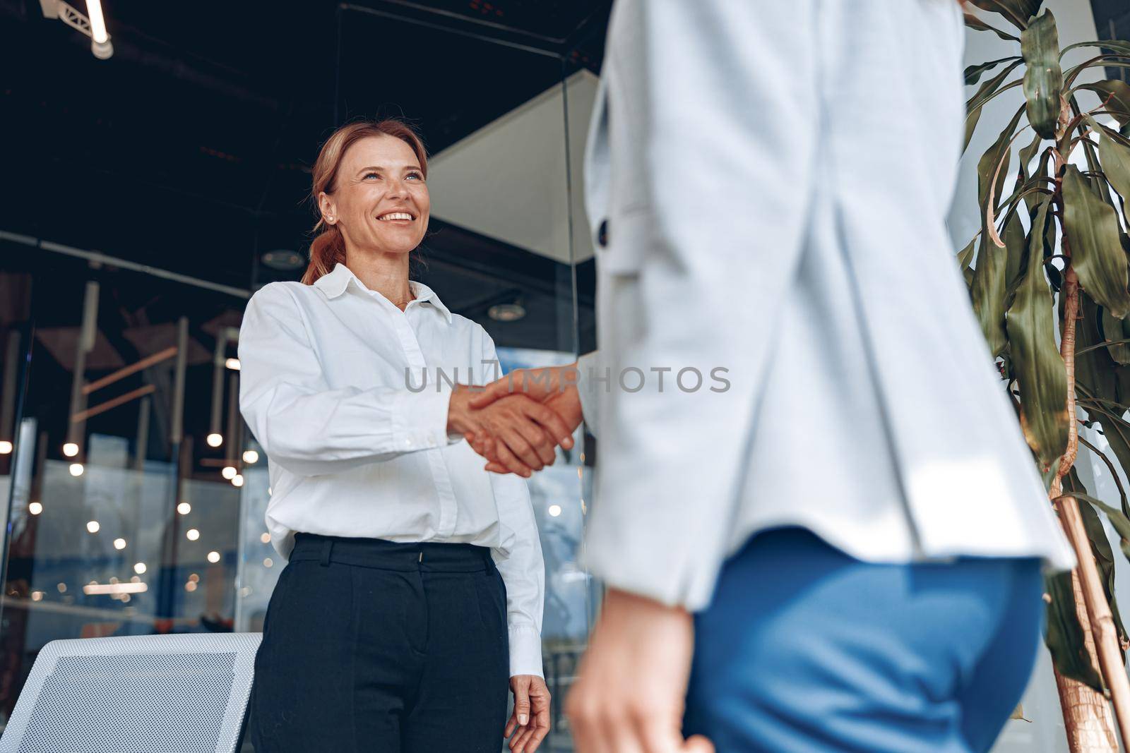 Close up of two confident businesswoman are handshaking after concluding a successful deal in office