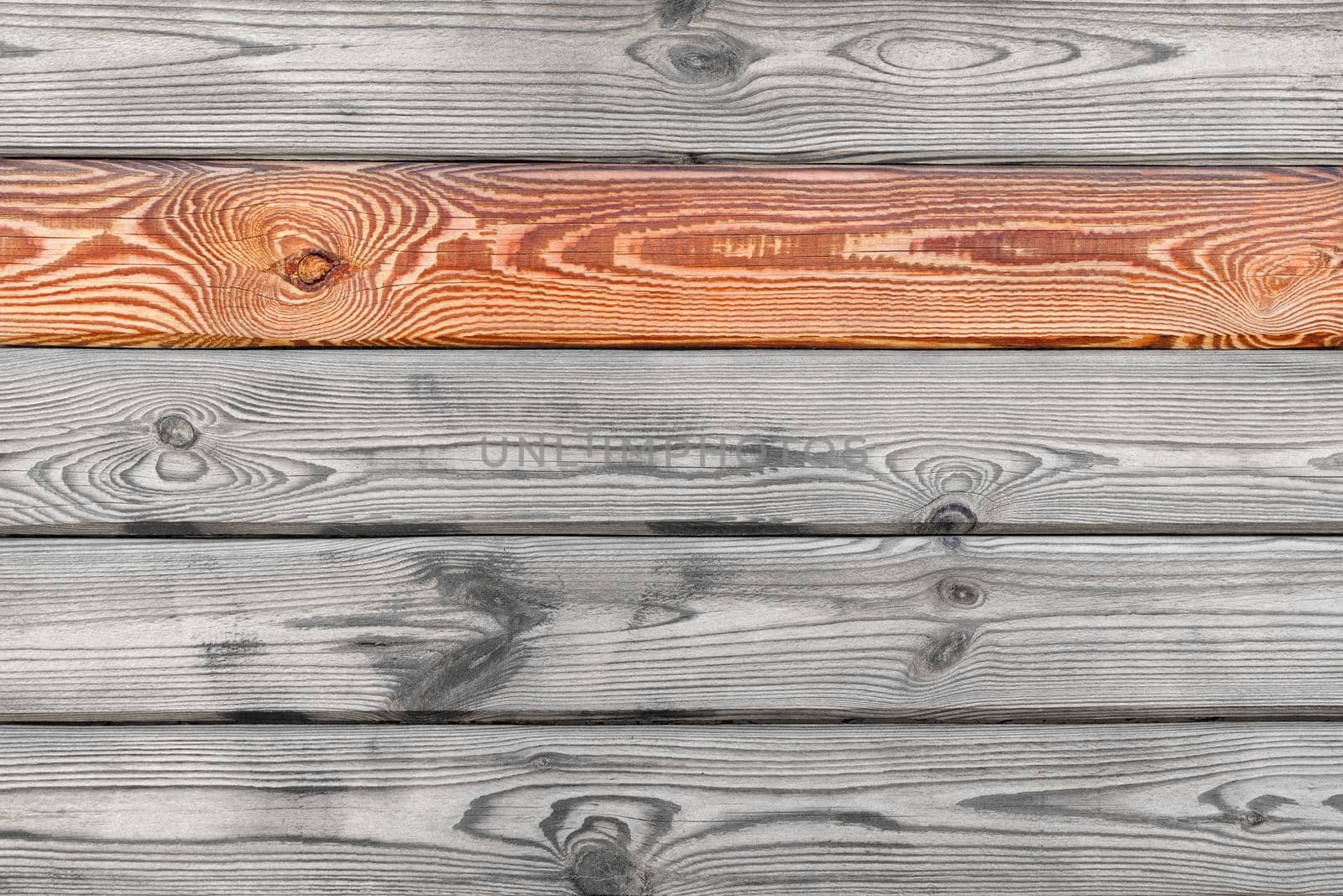 A gray wooden background and texture of weathered horizontal planks with a yellow plank highlighted at the top. by Sergii