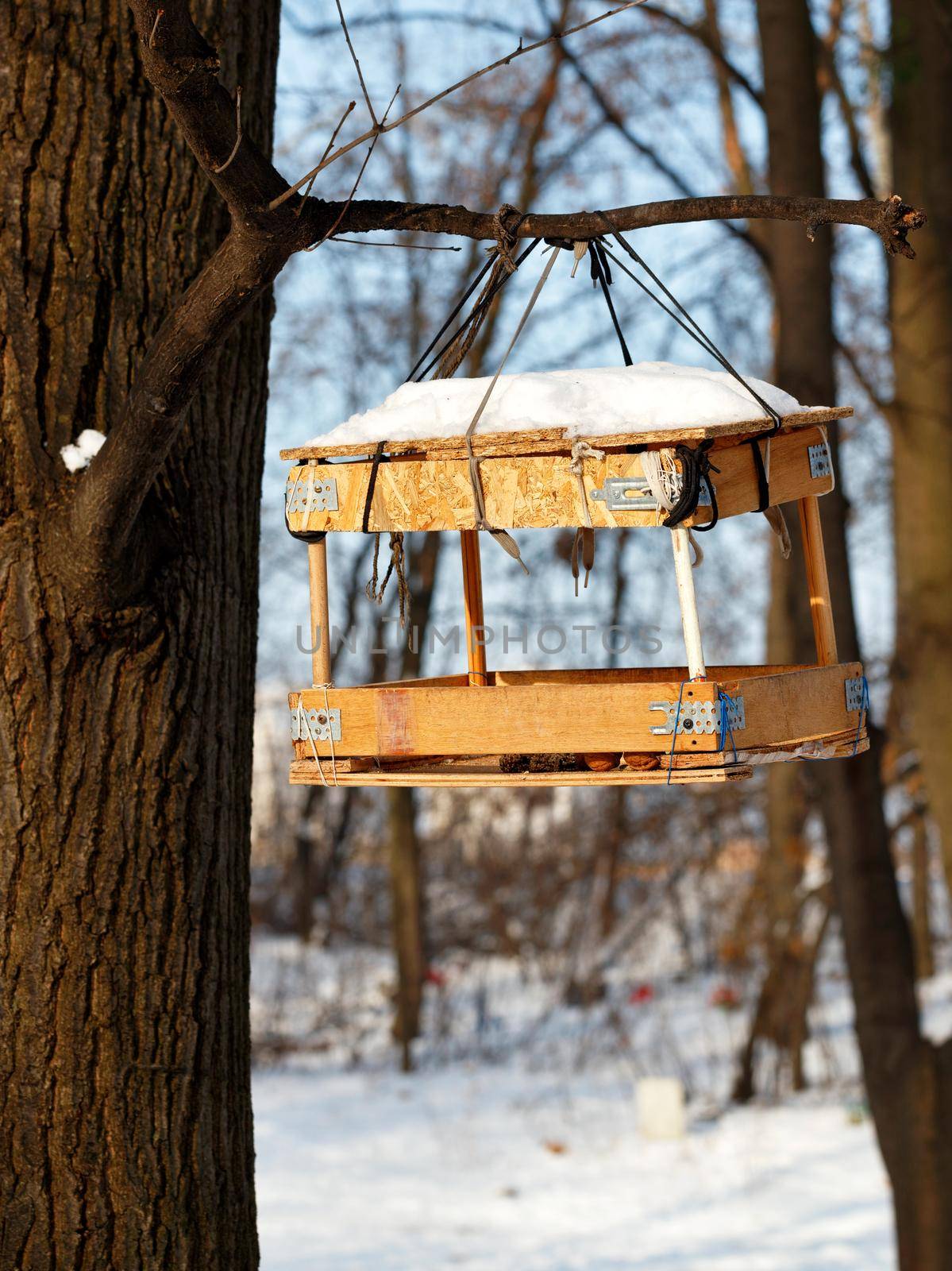 Bird feeder hanging on a tree branch in the winter forest against the backdrop of sunlight. by Sergii