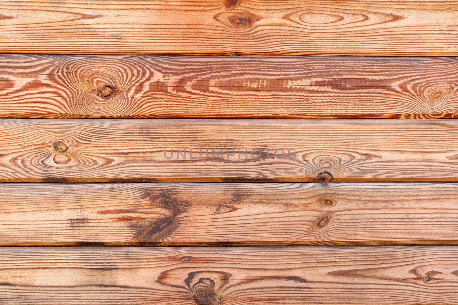 Old wood wall of yellow fresh plank with characteristic fibers and texture highlighted, background and texture, copy space.