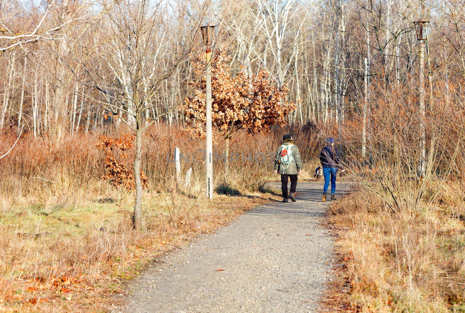 Rusty landscape of the old park in the dry winter season, a married couple of people walk along the path on a bright sunny day.