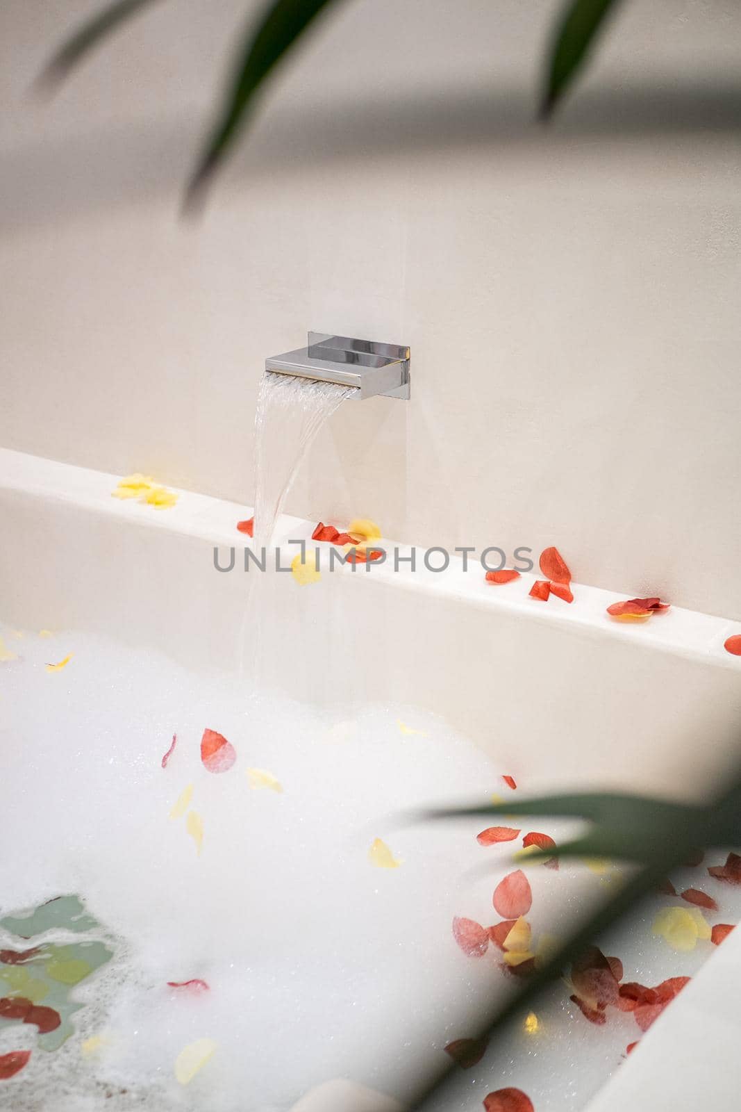 Rose petals put in bathtub with foam for romantic bathroom atmosphere. View through green leaves of a plant. by apavlin