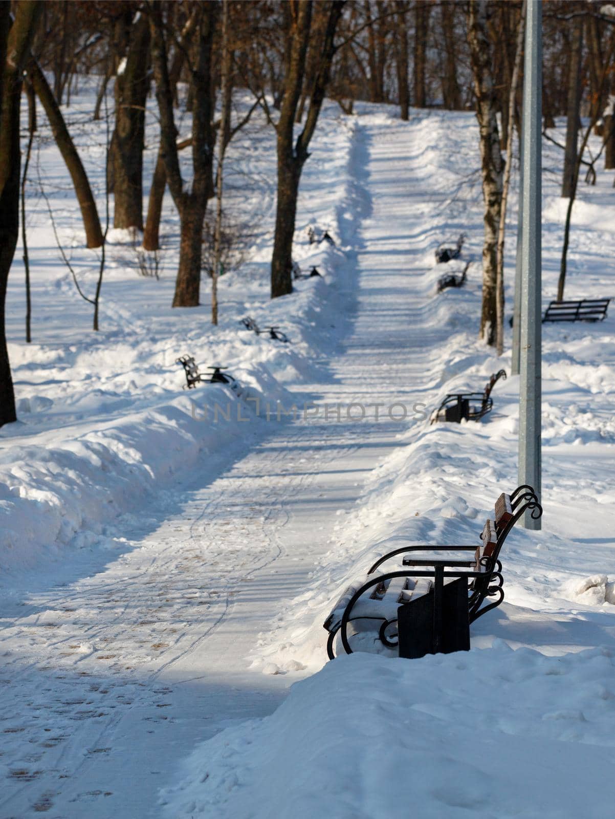 Winter park, wooden benches in snowdrifts along a cleared path in the snow in a park on a sunny day. Vertical image.