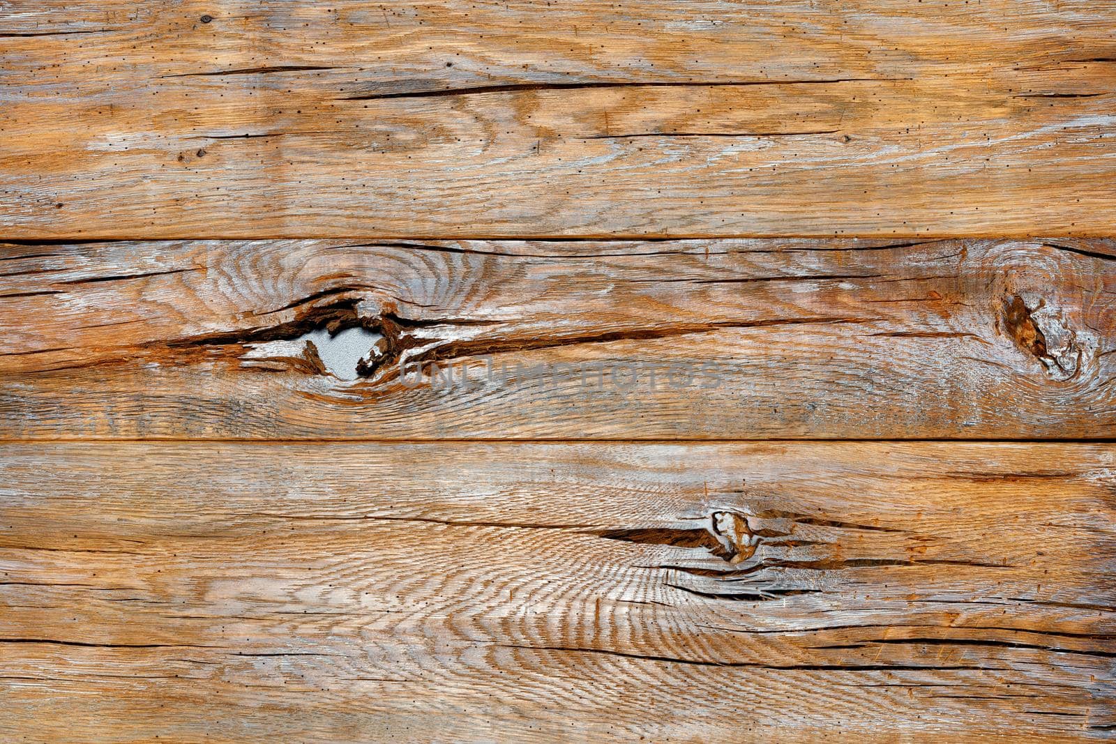 The texture of a very old cracked board with spots of knots, scuffs and gray paint. by Sergii