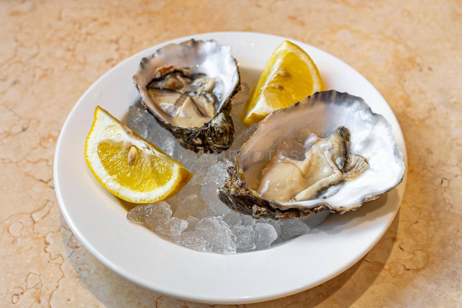 Delicious fresh oysters served on a white plate with ice and lemon slices. Seafood ready for eat.