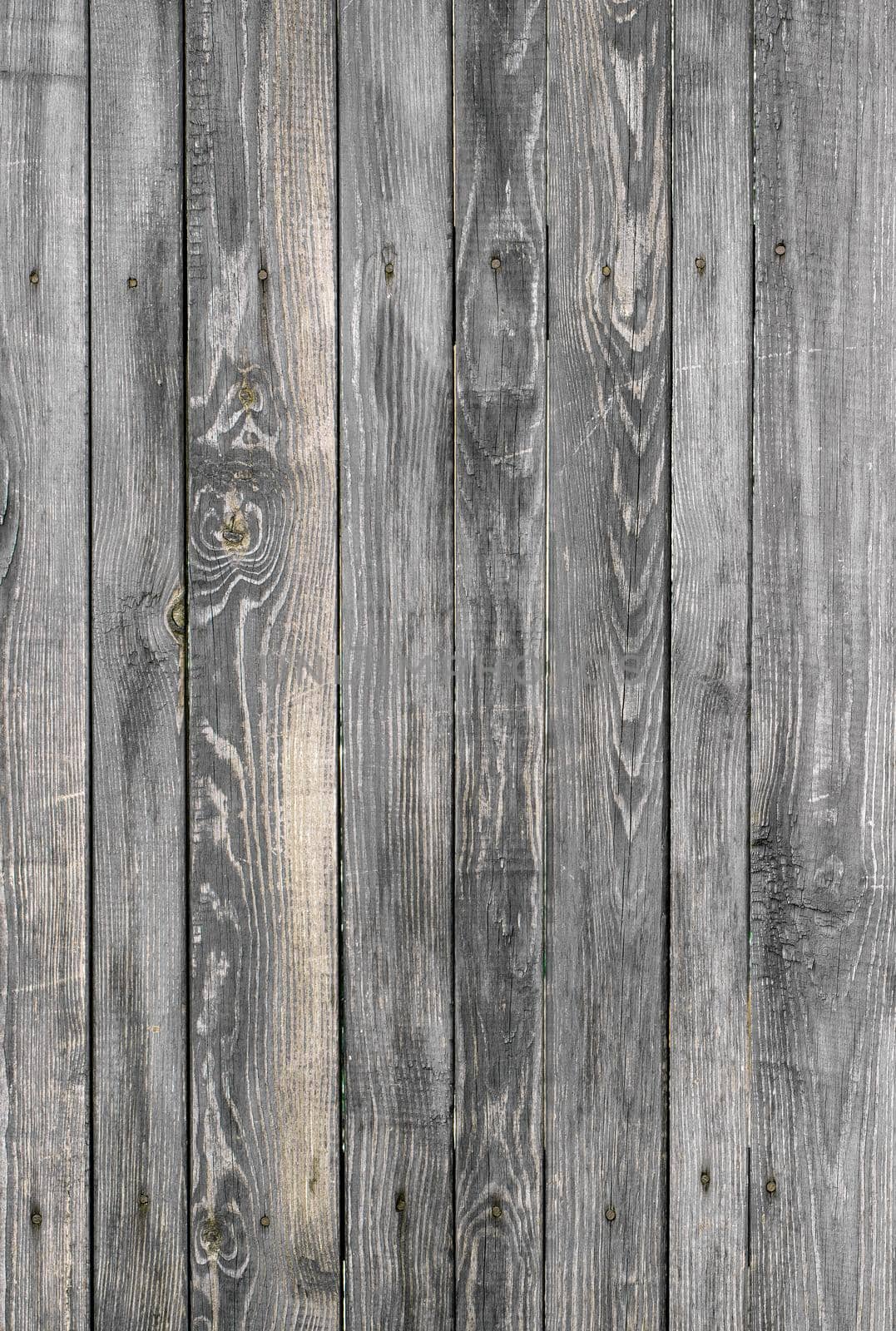 Texture of an old wooden fence with weathered gray planks nailed in rusty nails, vertical shot. by Sergii