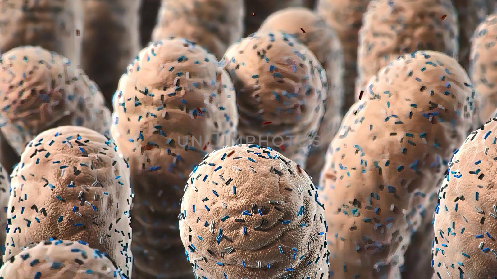 Bacteria Lactobacillus in human intestine, 3D illustration. Normal flora of small intestine, lactic acid bacteria. Probiotic bacterium