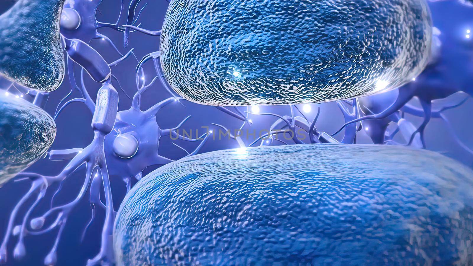 Neurons are the fundamental units of the brain and nervous system 3D illustration