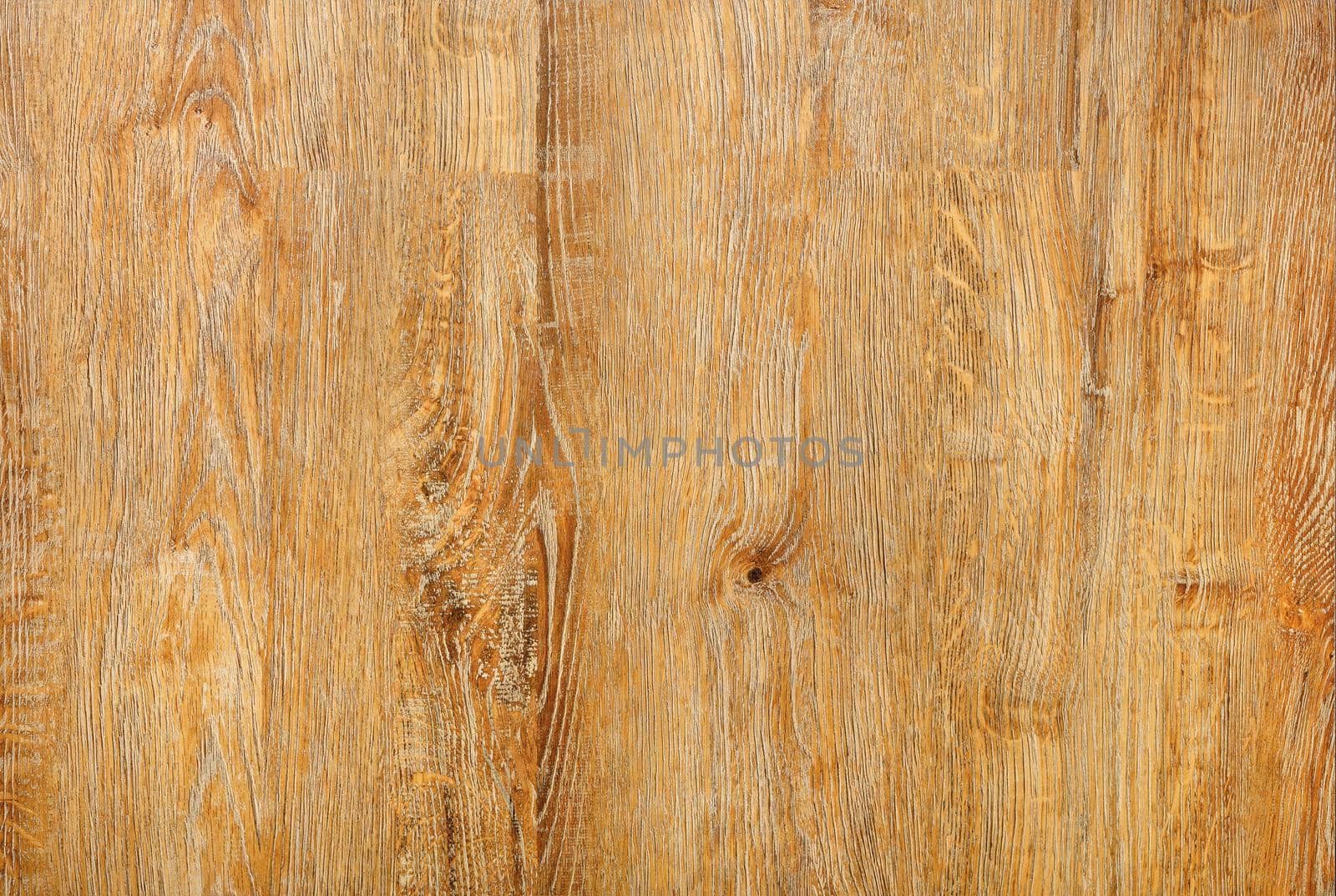Beautiful texture of a board made of natural light wood with a vertical grain pattern. by Sergii