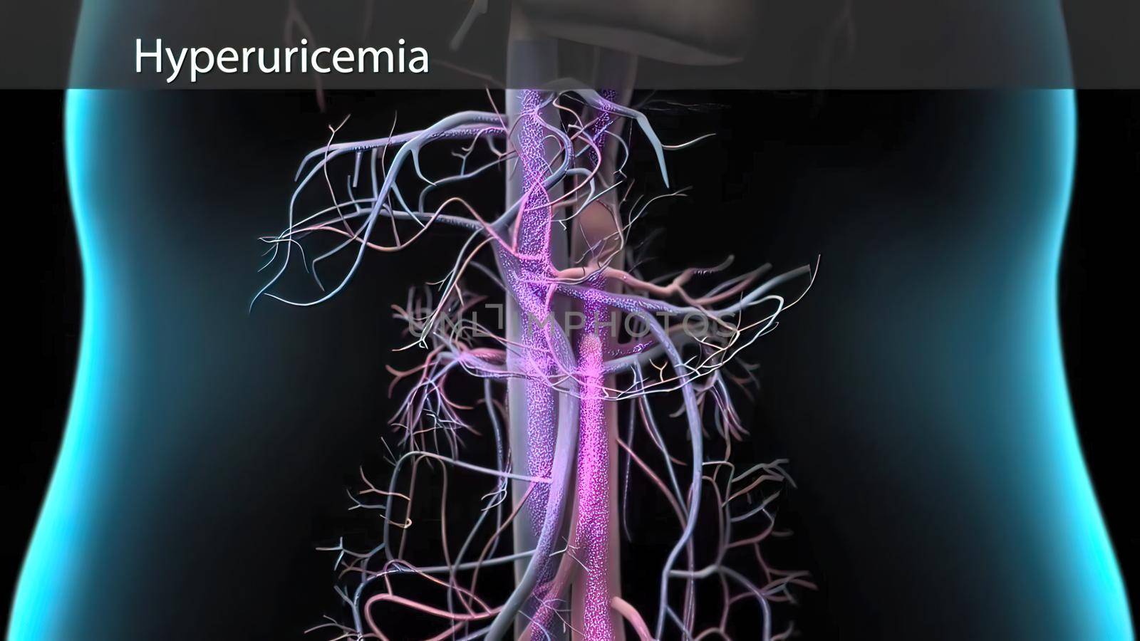 Under normal conditions, the body can meet the lost fluid and electrolyte balance with food and water consumption. 3D illustration