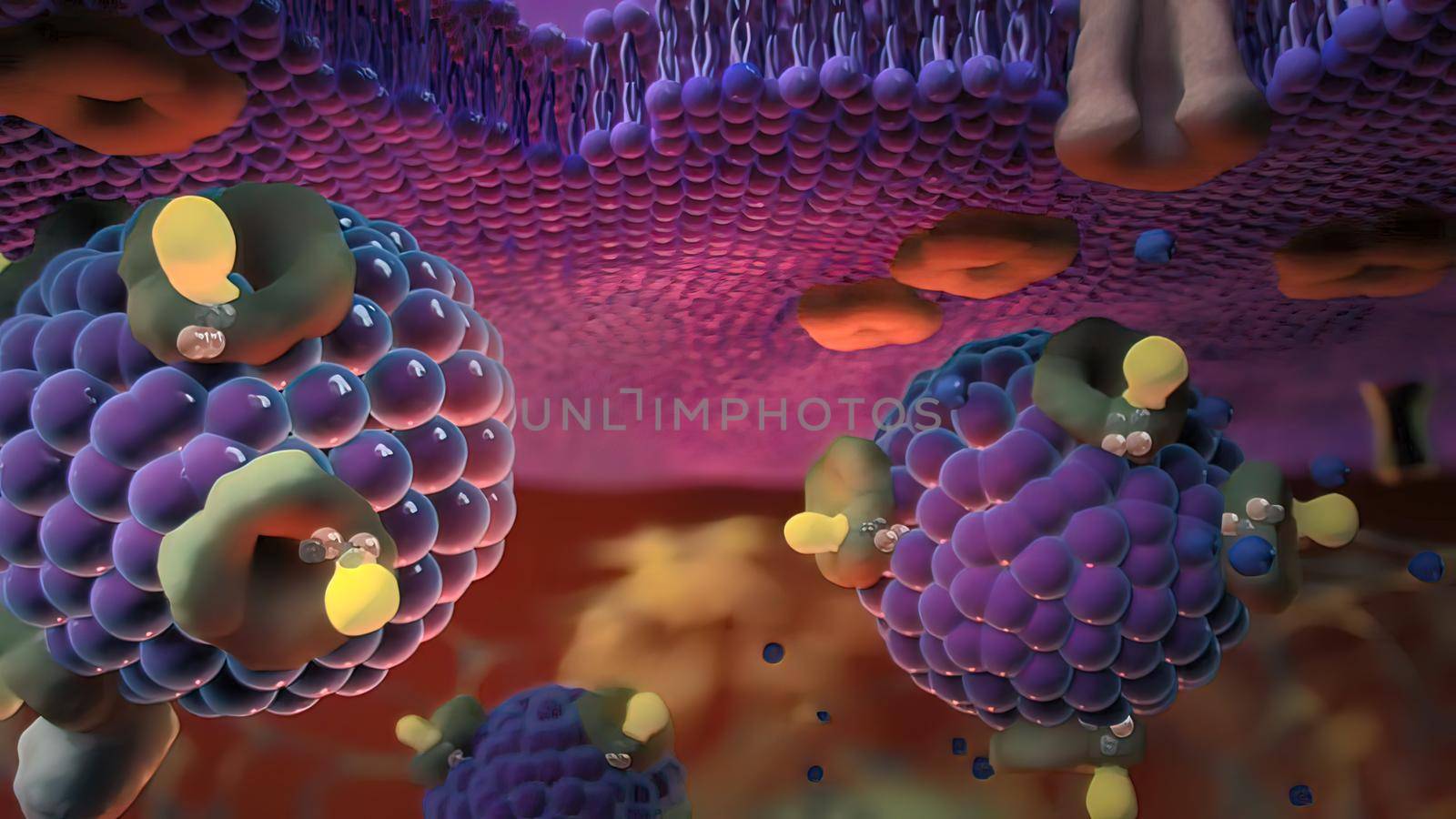 Ion channels in epithelial cells serve to move ions, and in some cases fluid, between compartments of the body. 3D illustration