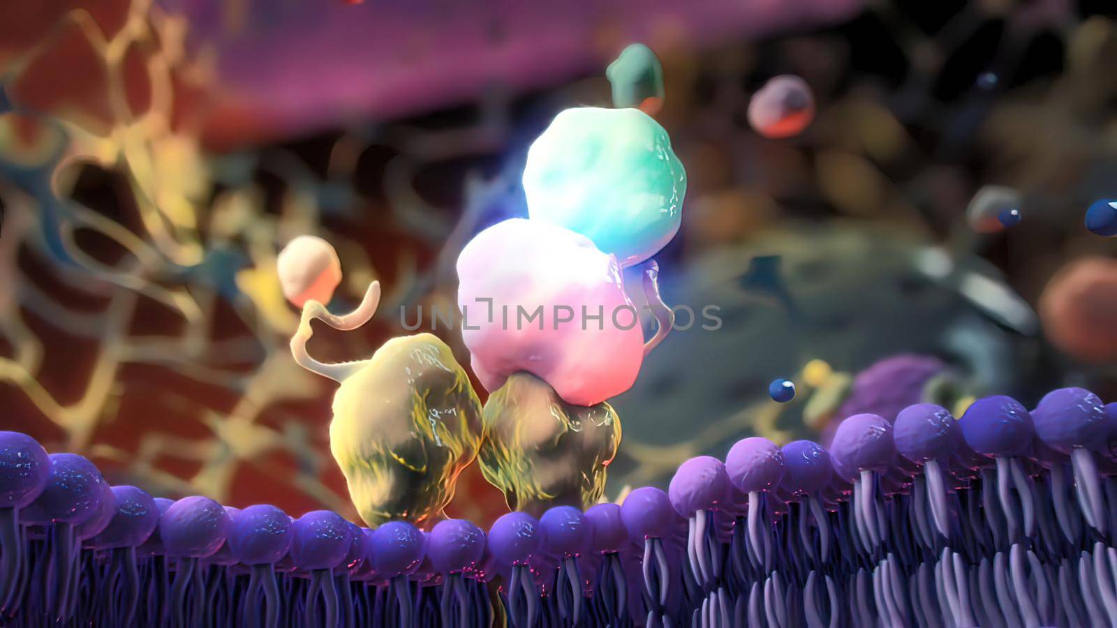 Ion channels in epithelial cells serve to move ions, and in some cases fluid, between compartments of the body. 3D illustration