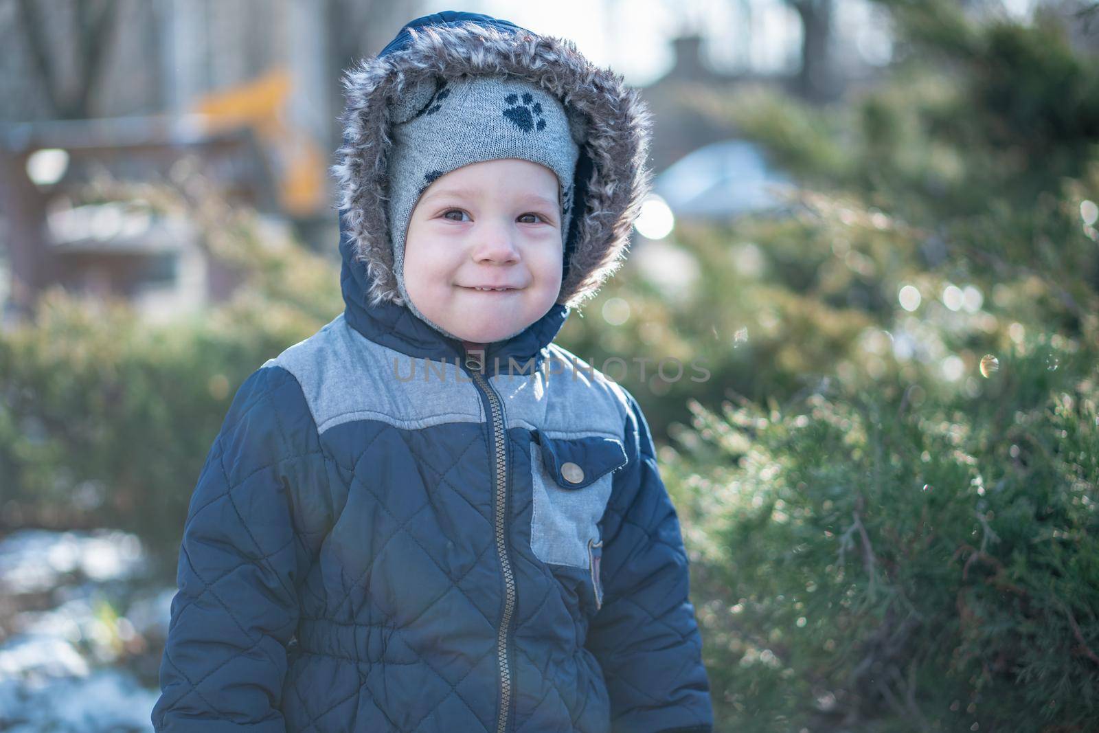 A child playing hide and seek behind juniper bushes in winter by mytrykau