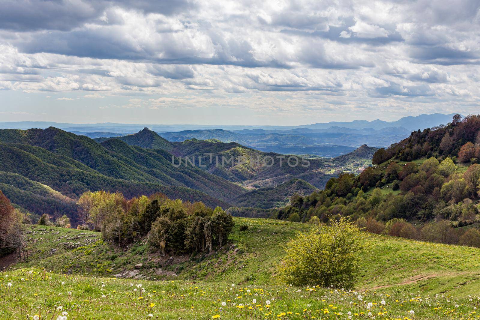 Mountain landscape in cloudy weather. Trees are changing color in the spring. Forest and green meadow in the foreground. Puigsacalm, Catalunya, Spain