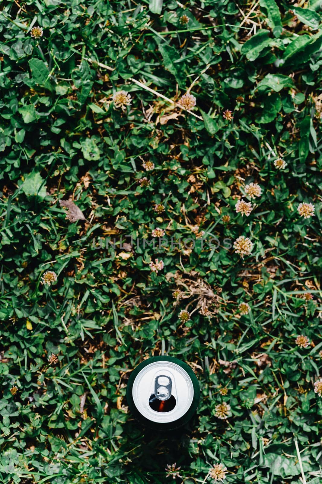 A can of beer against the grass is a view of the top background image for the design
