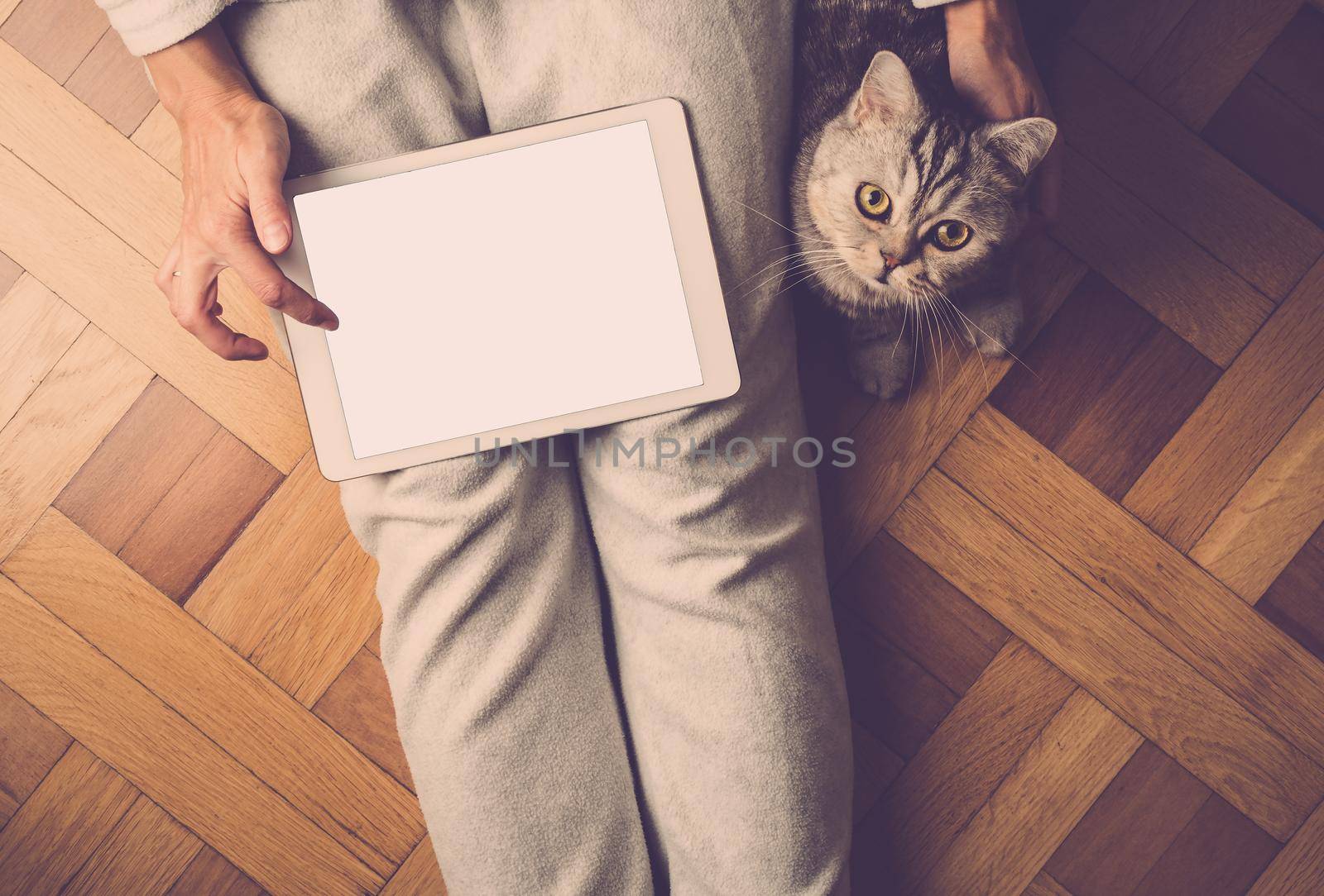 Woman sitting on floor with a cute cat and looking at tablet, search Internet, online shopping. Cat looks at camera